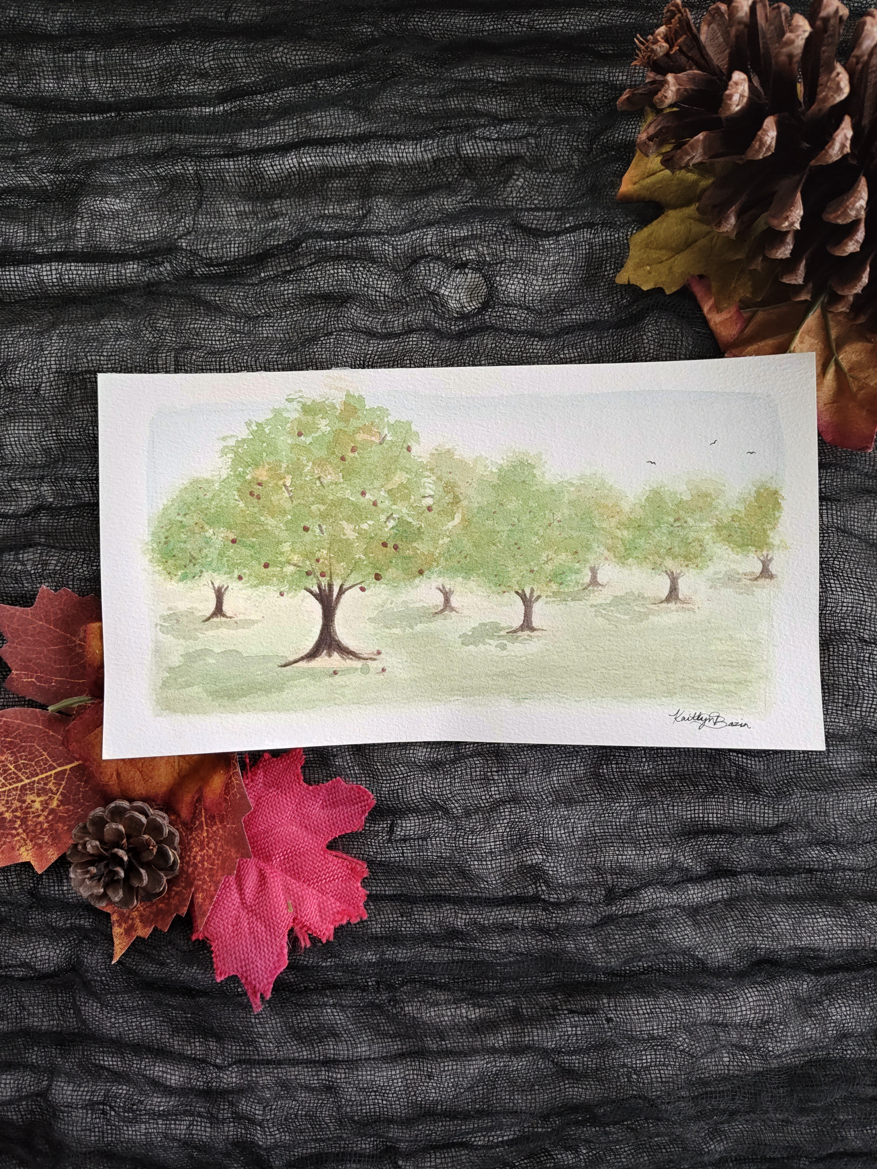 Apple Picking in Autumn