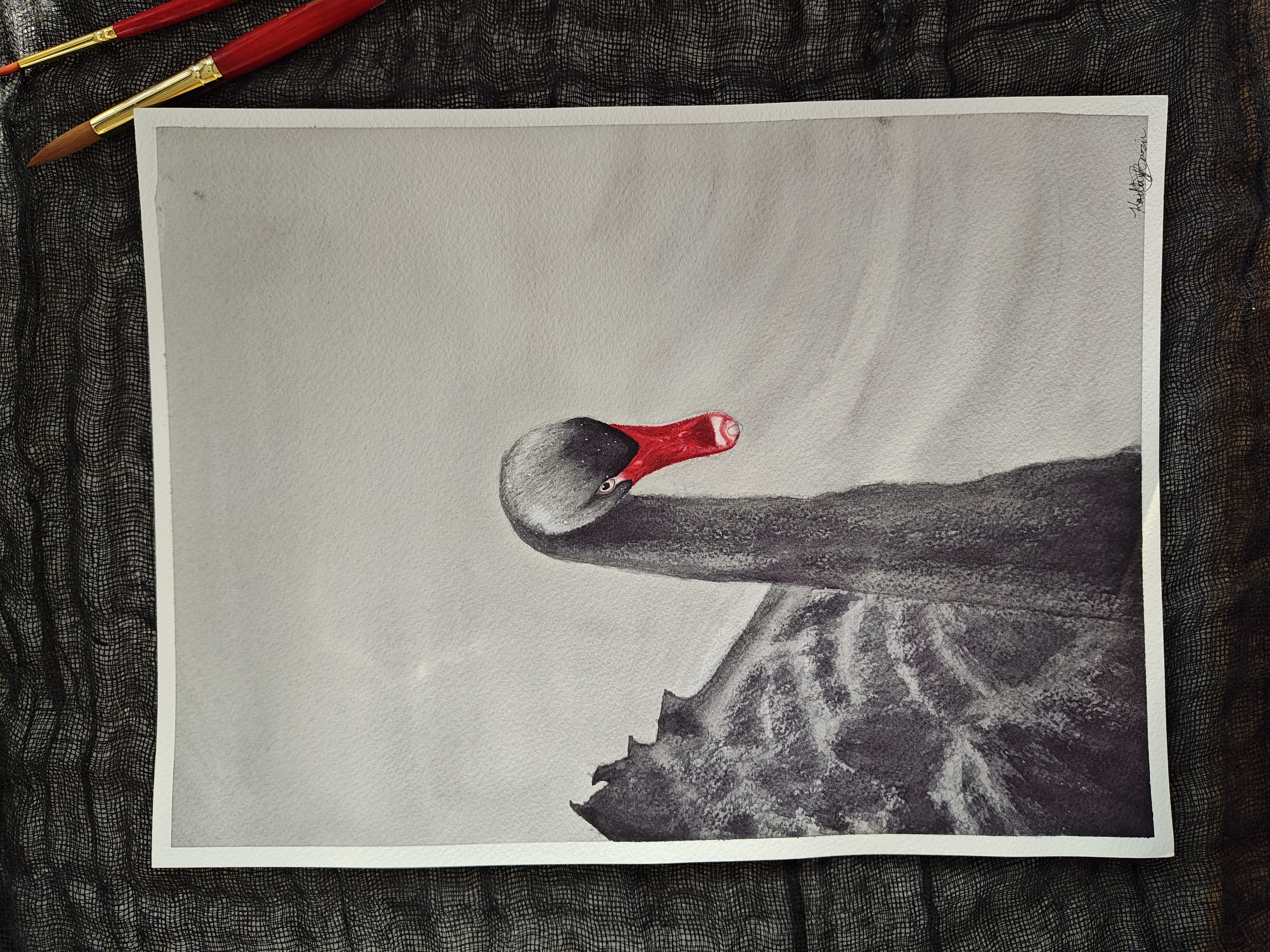 Black Swan Watercolor Painting