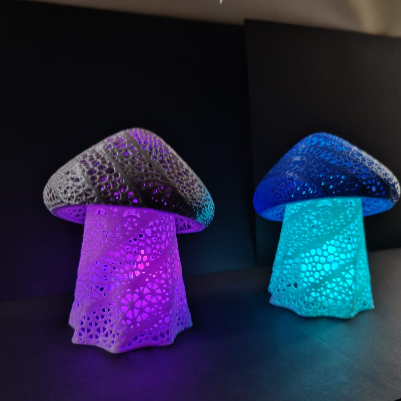 3D Glowing Mushroom Twin Pack