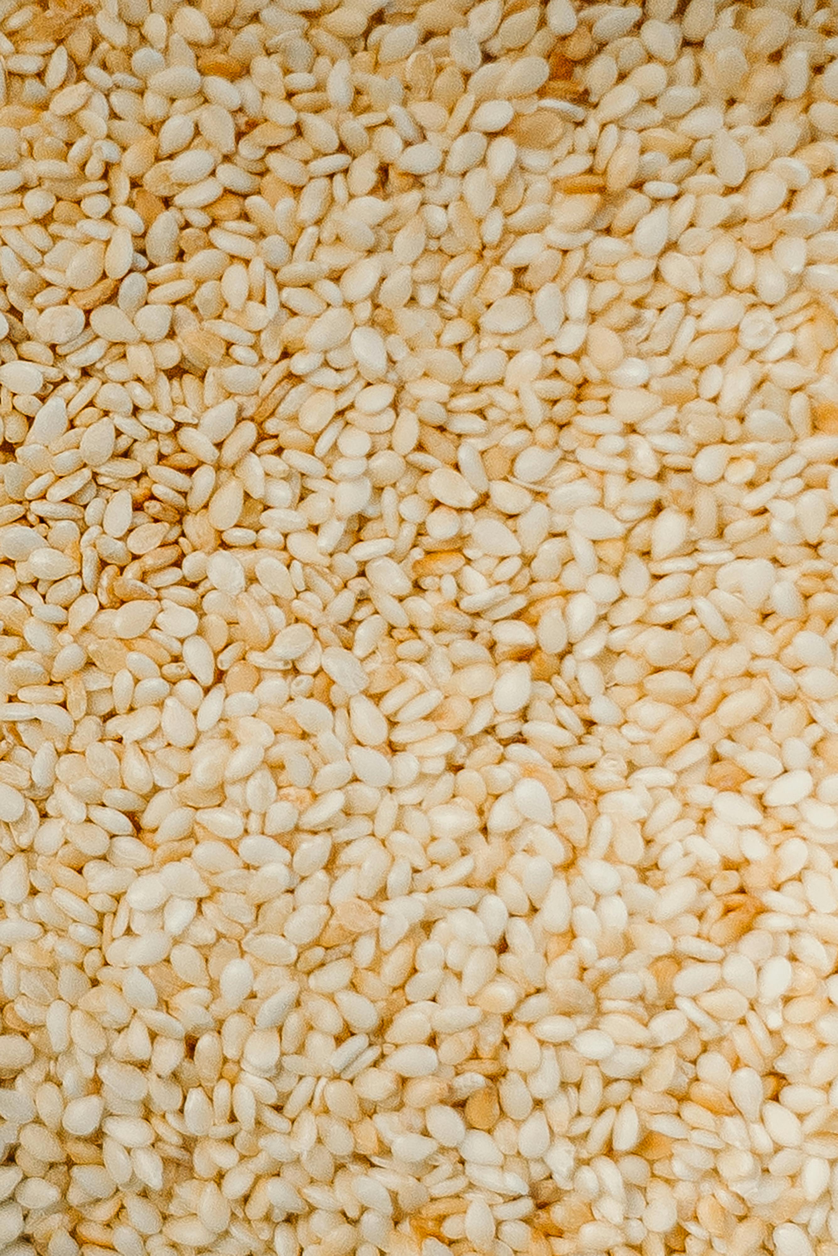 sesame seeds