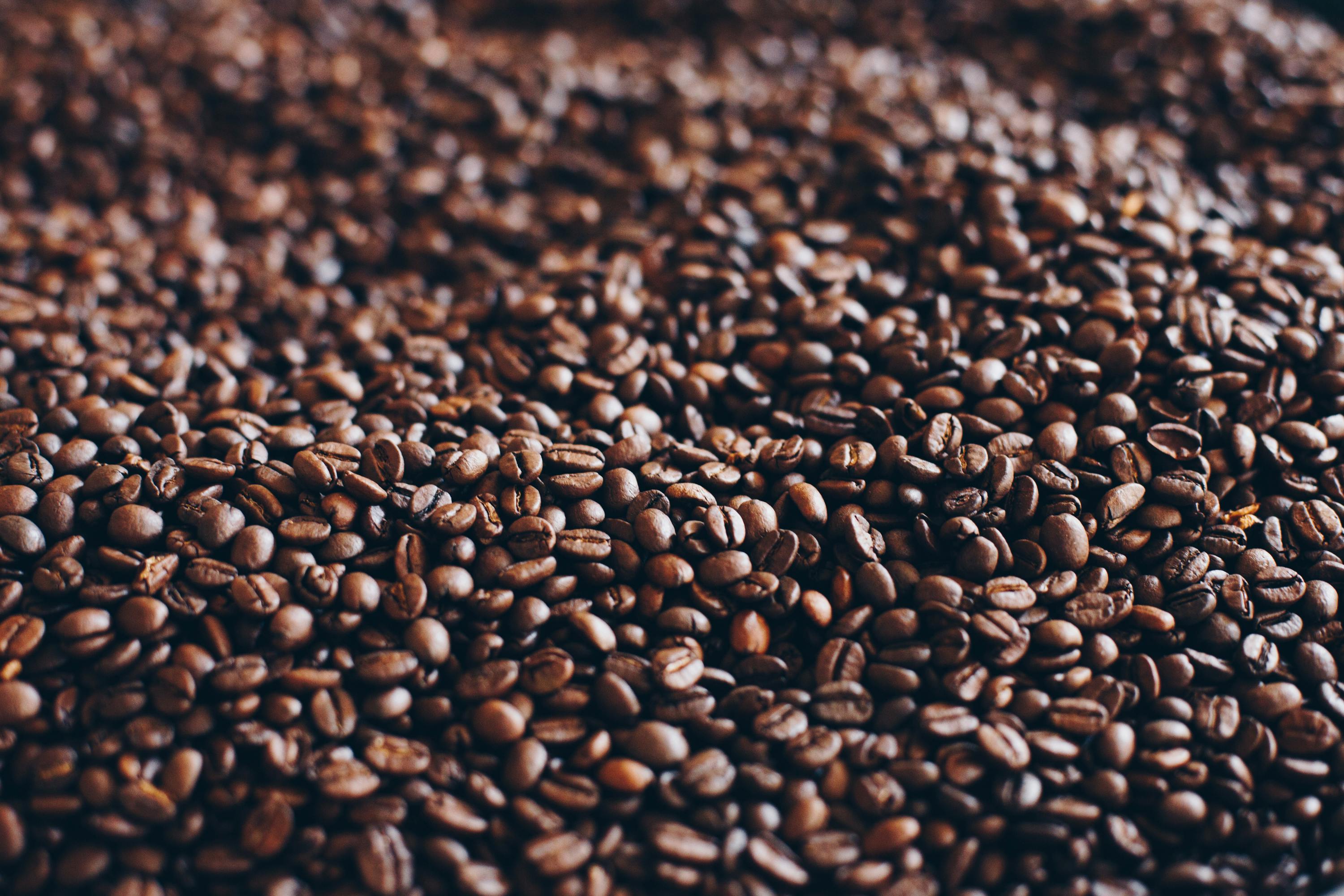 Kenyan Coffee Beans
