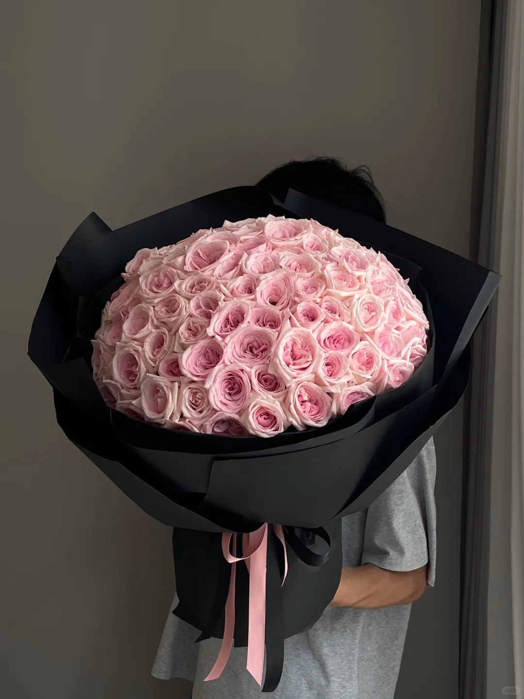 101 pcs Pink O'Hara Rose