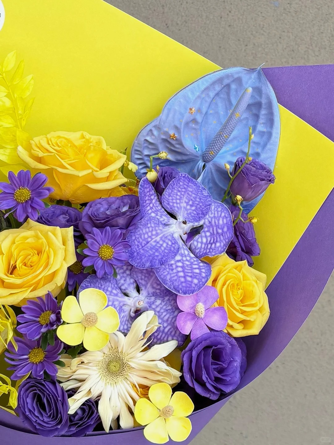 La La Land - Classic