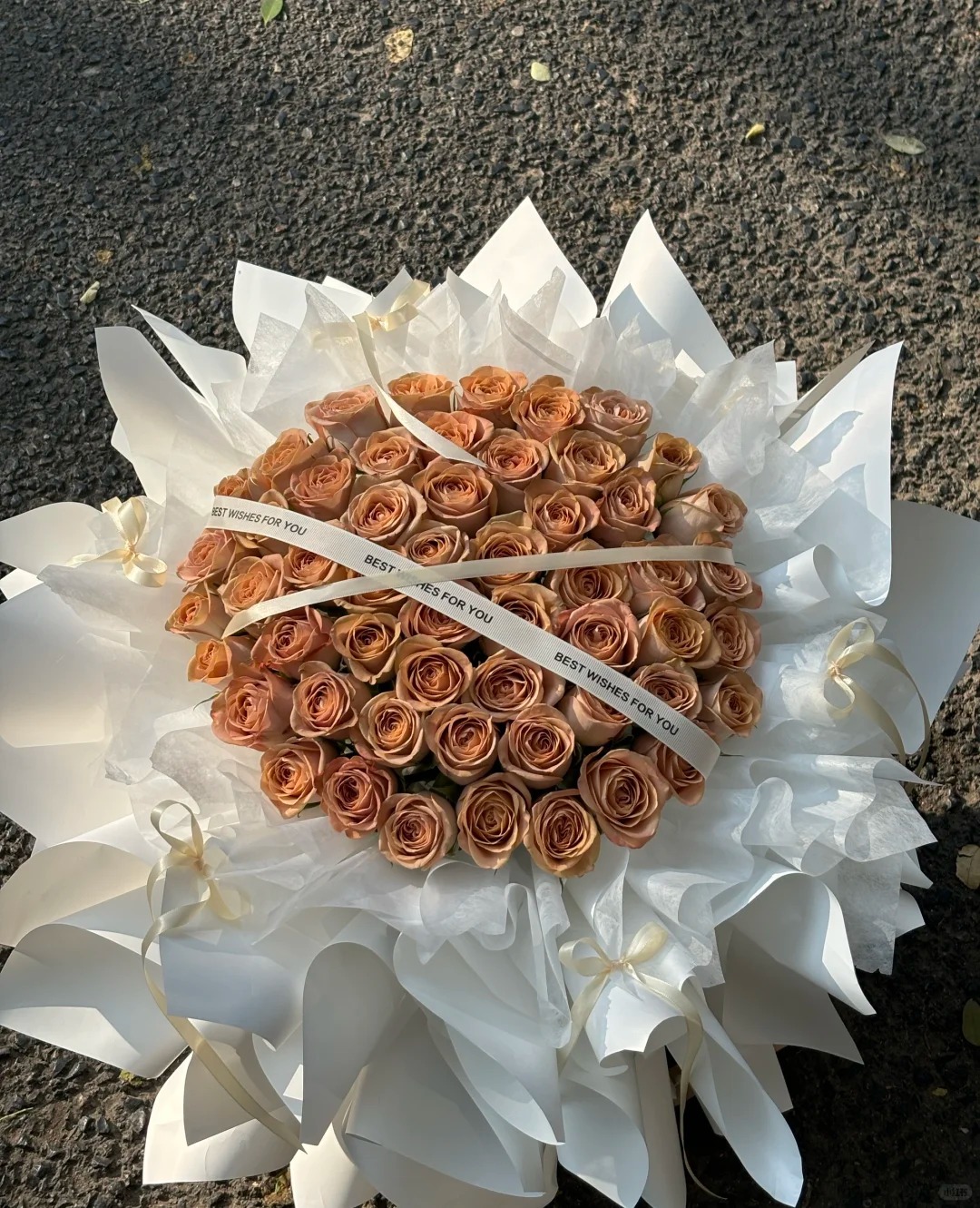 51 pcs Cappuccino Rose Bouquet