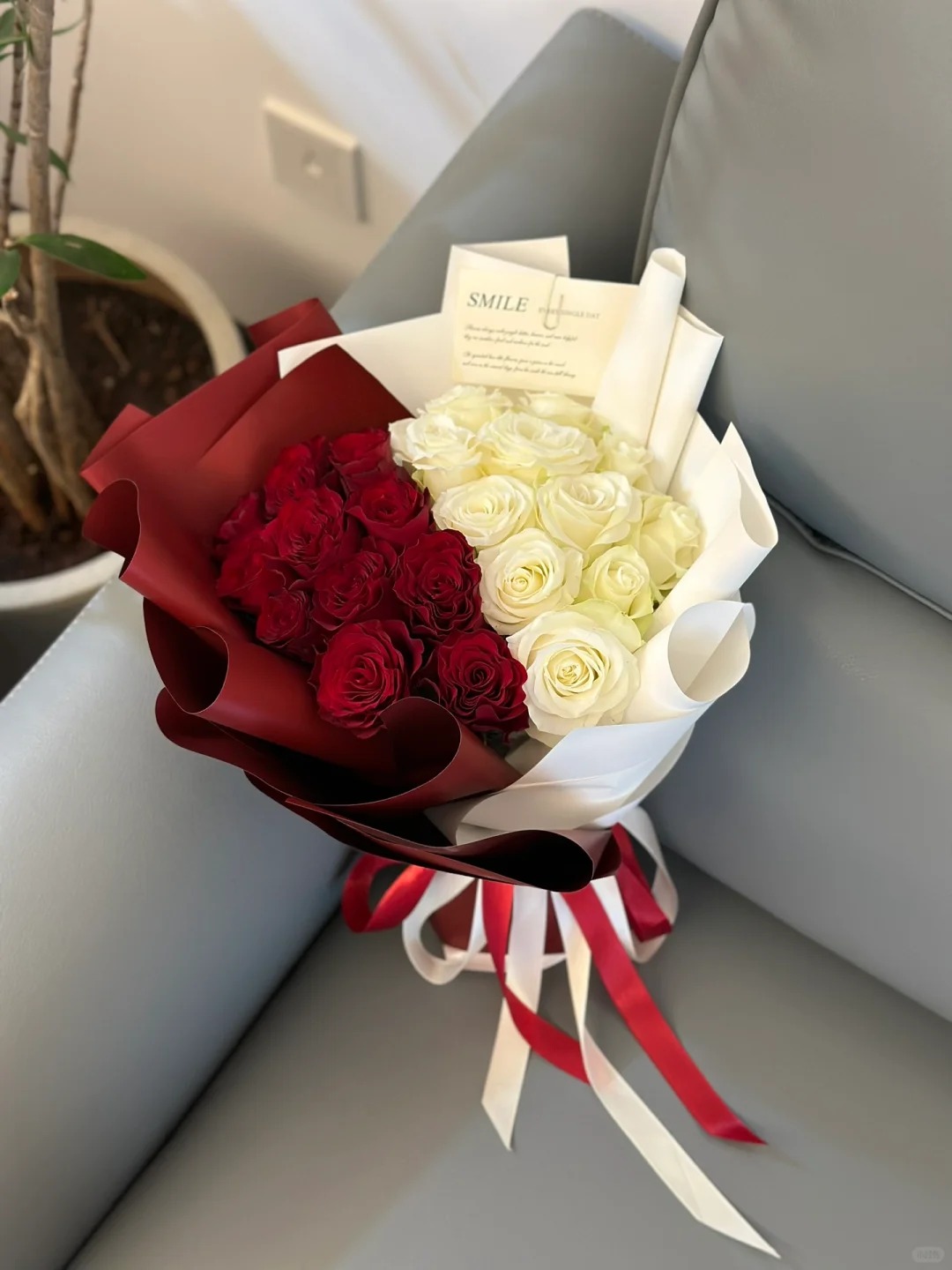 Queen Red & White - Alice in Wonderland