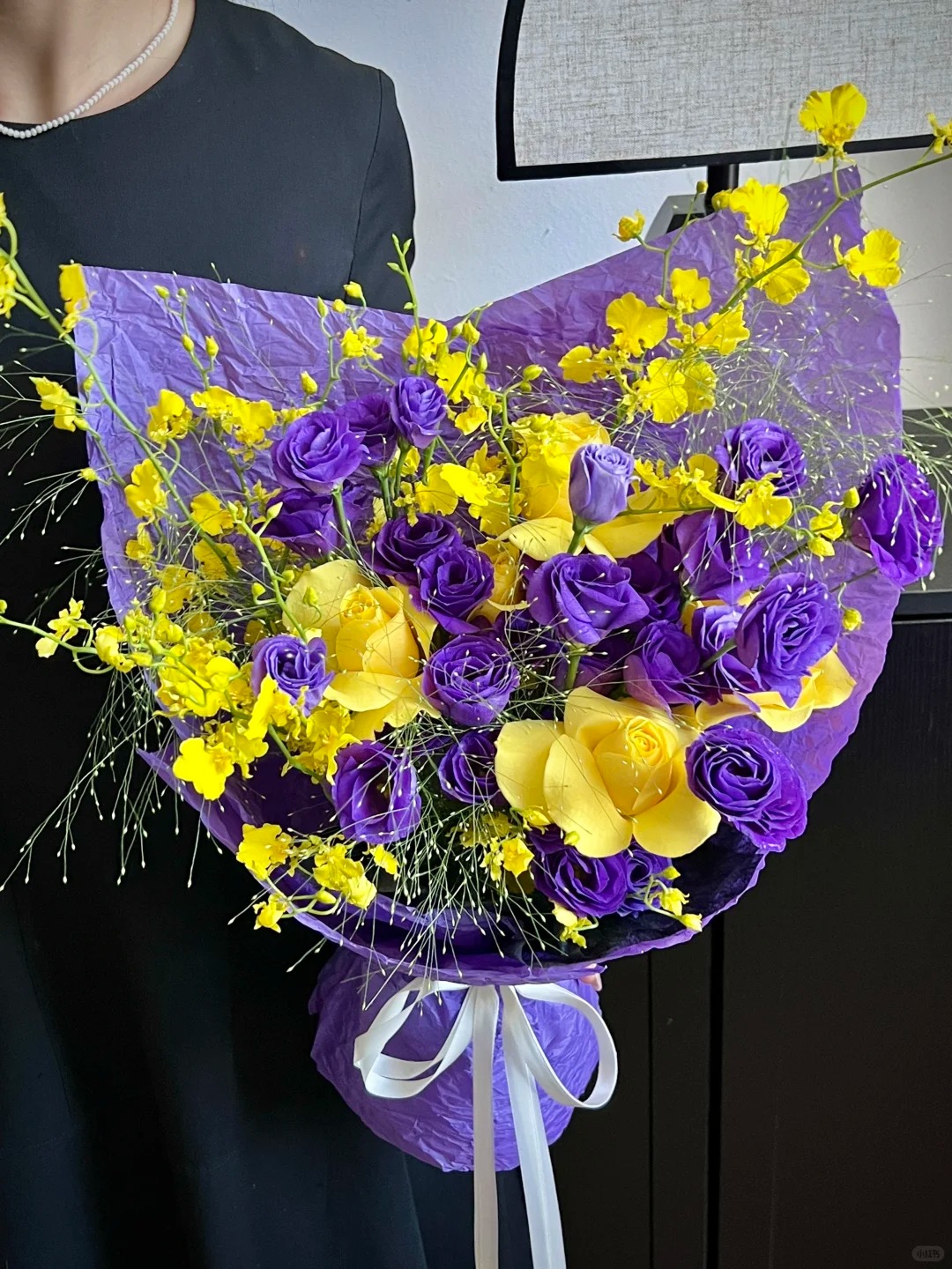 La La Land - Premium