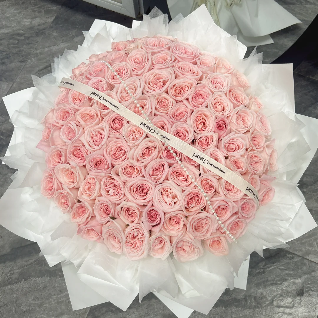 101 pcs Pink O'Hara Rose
