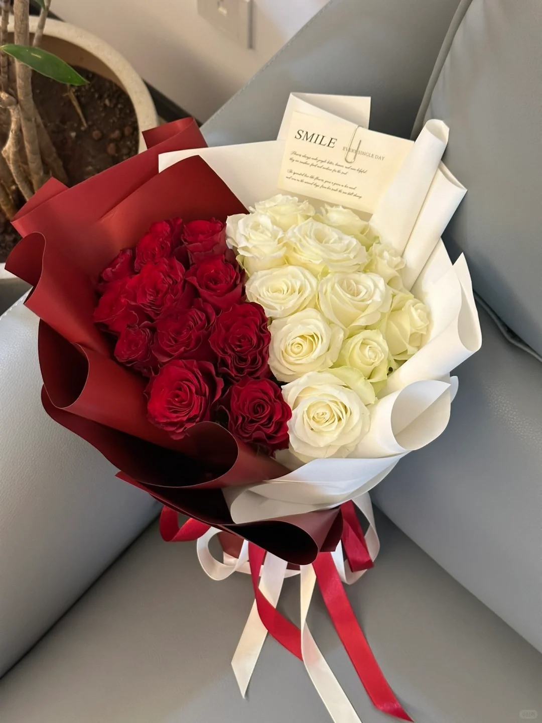 Queen Red & White - Alice in Wonderland