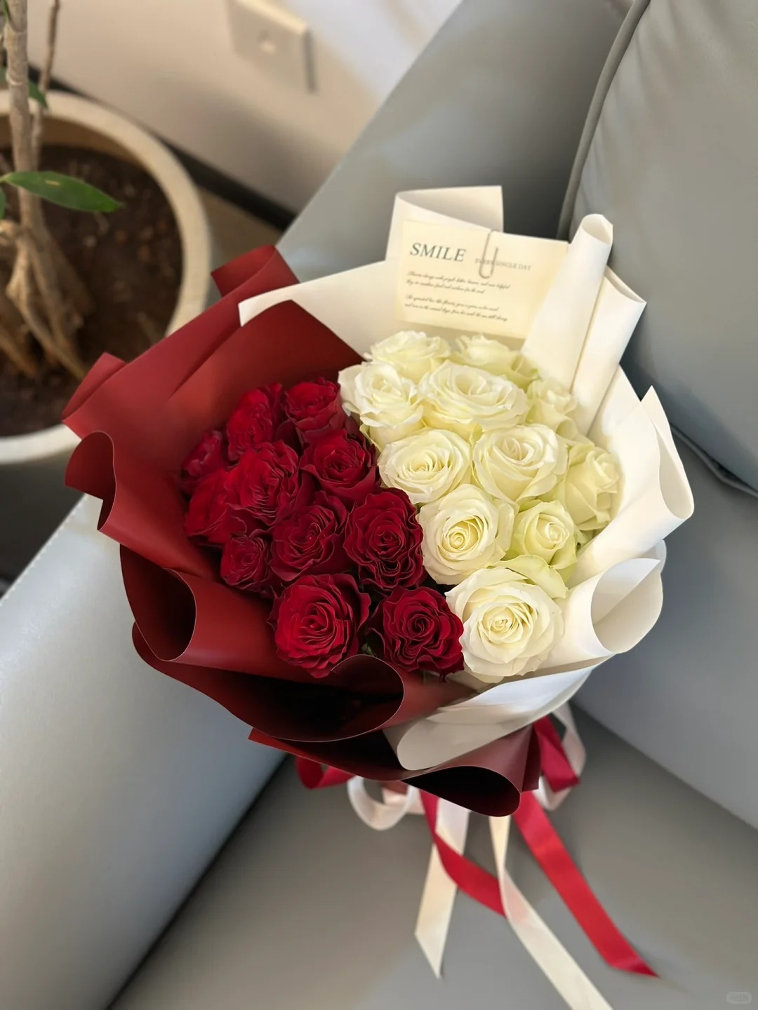 Queen Red & White - Alice in Wonderland