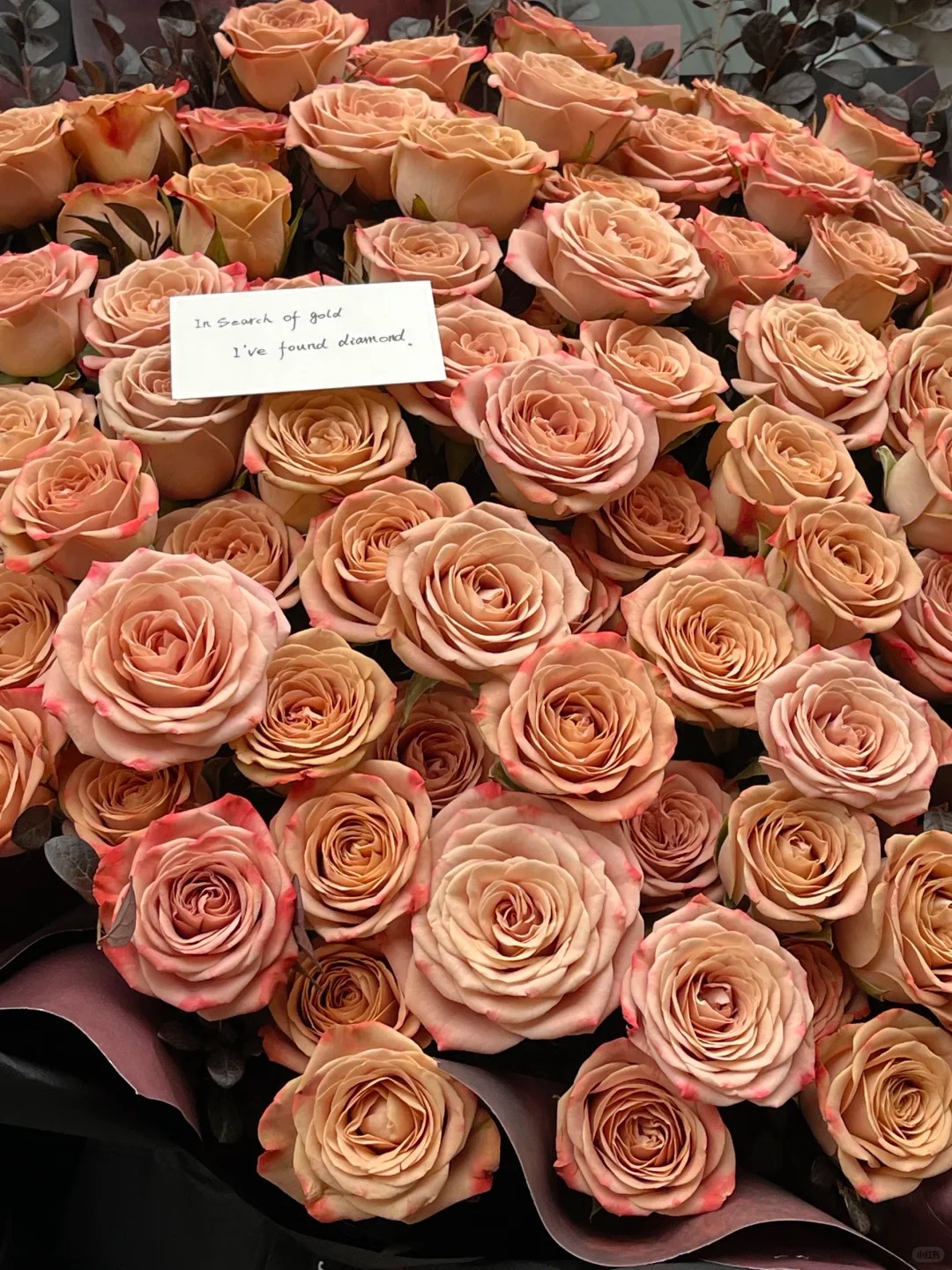 101 pcs Deluxe Cappuccino Roses