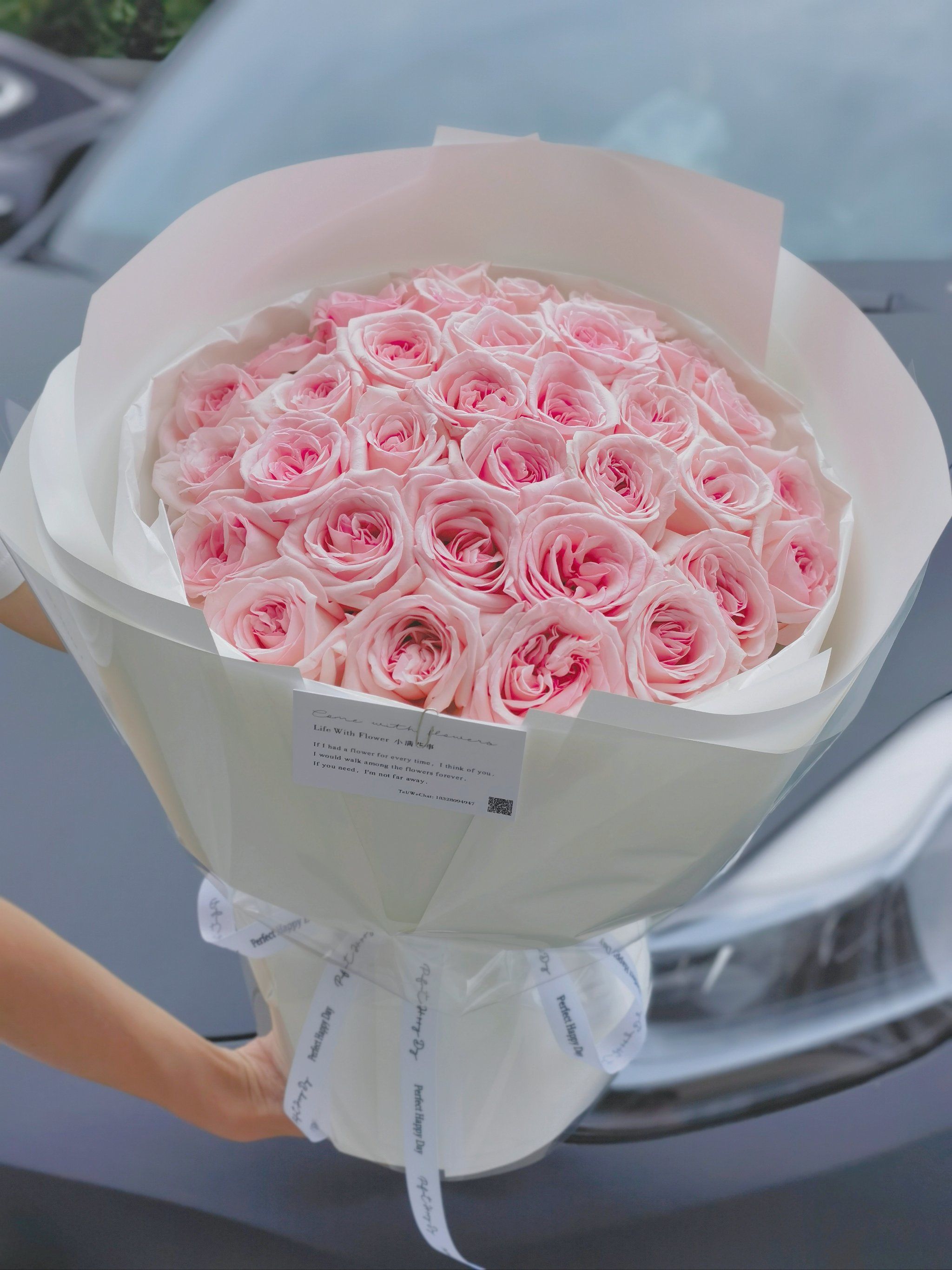 31-33 pcs Pink O'Hara Roses