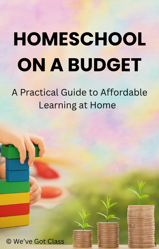 Homeschool on a Budget eBook