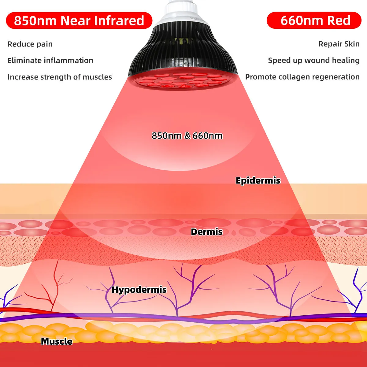 Infrared Therapy Lamp
