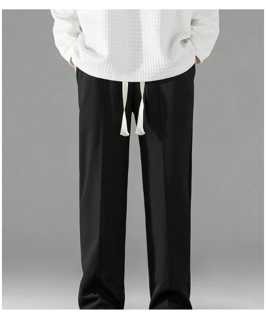  AYARTH Regular Pleated Men's Trouser