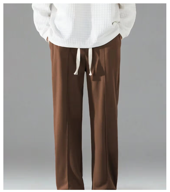  AYARTH Regular Pleated Men's Trouser