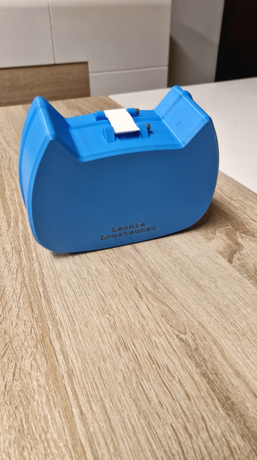 Boite à Gâteau chat