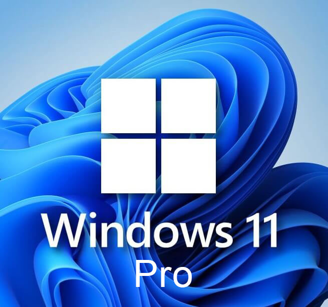 Windows 11 Pro