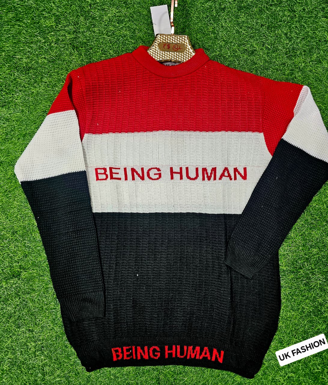Being Human Color Block Sweater