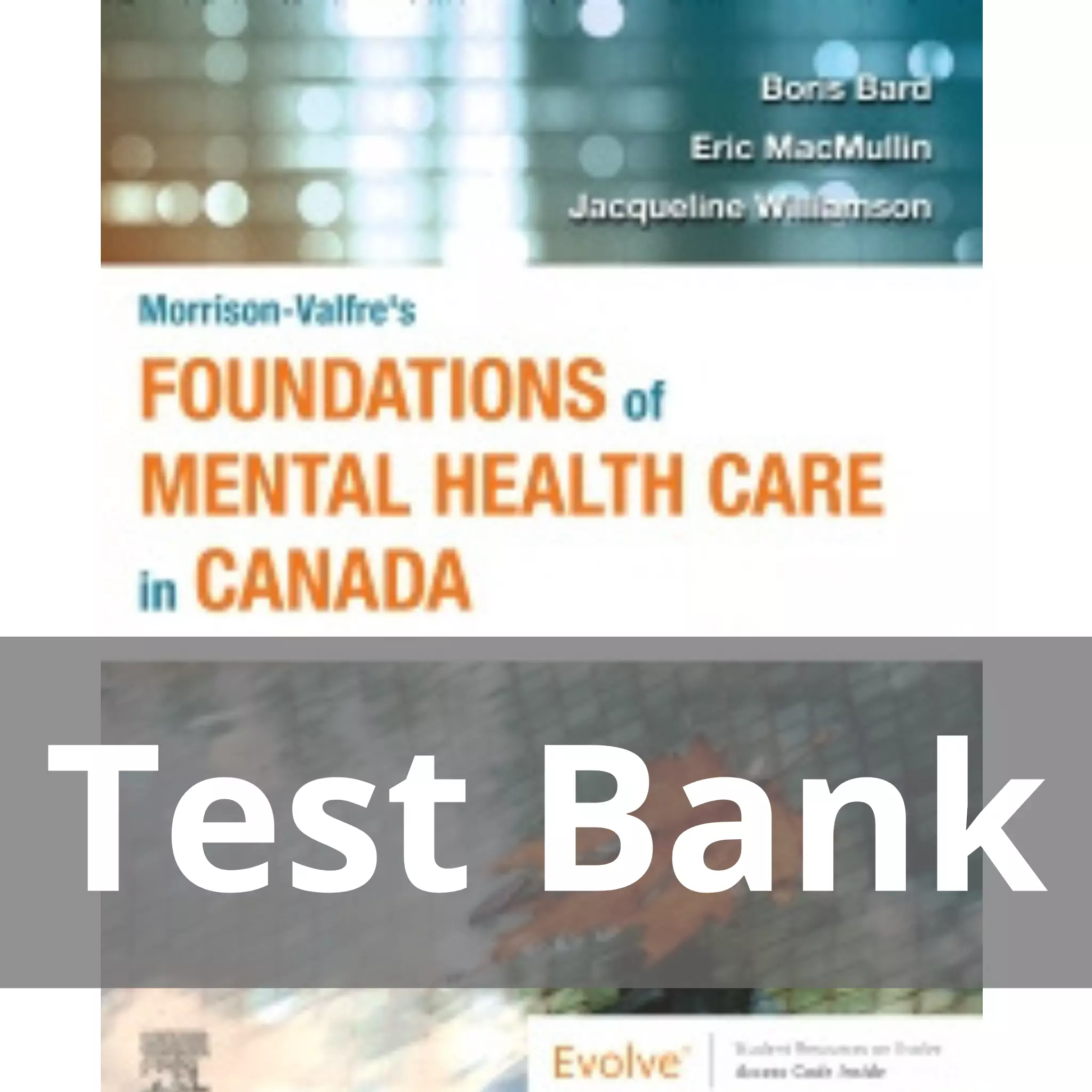 Morrison-Valfre’s Foundations of Mental Health Care in Canada 1st Edition Boris Bard Test Bank