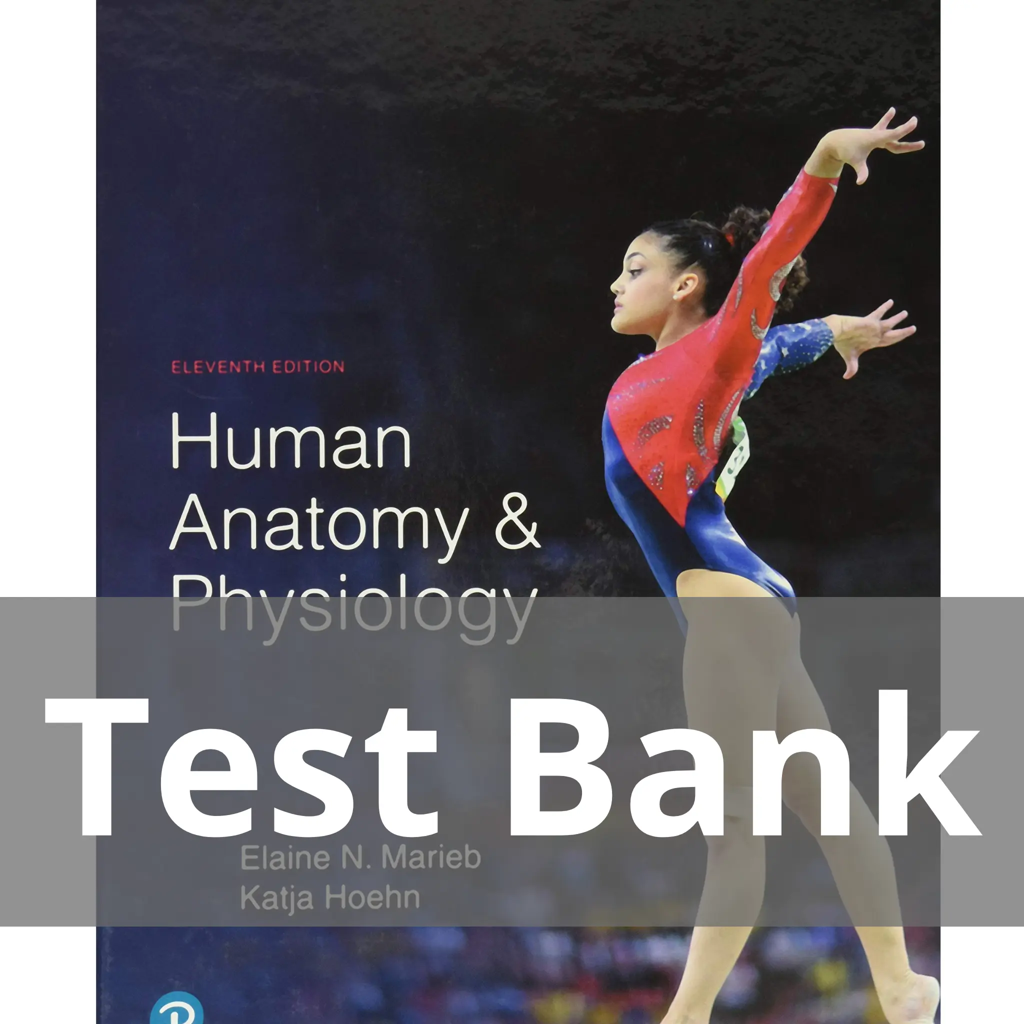 Human Anatomy & Physiology 11th edition by Elaine Marieb Test Bank