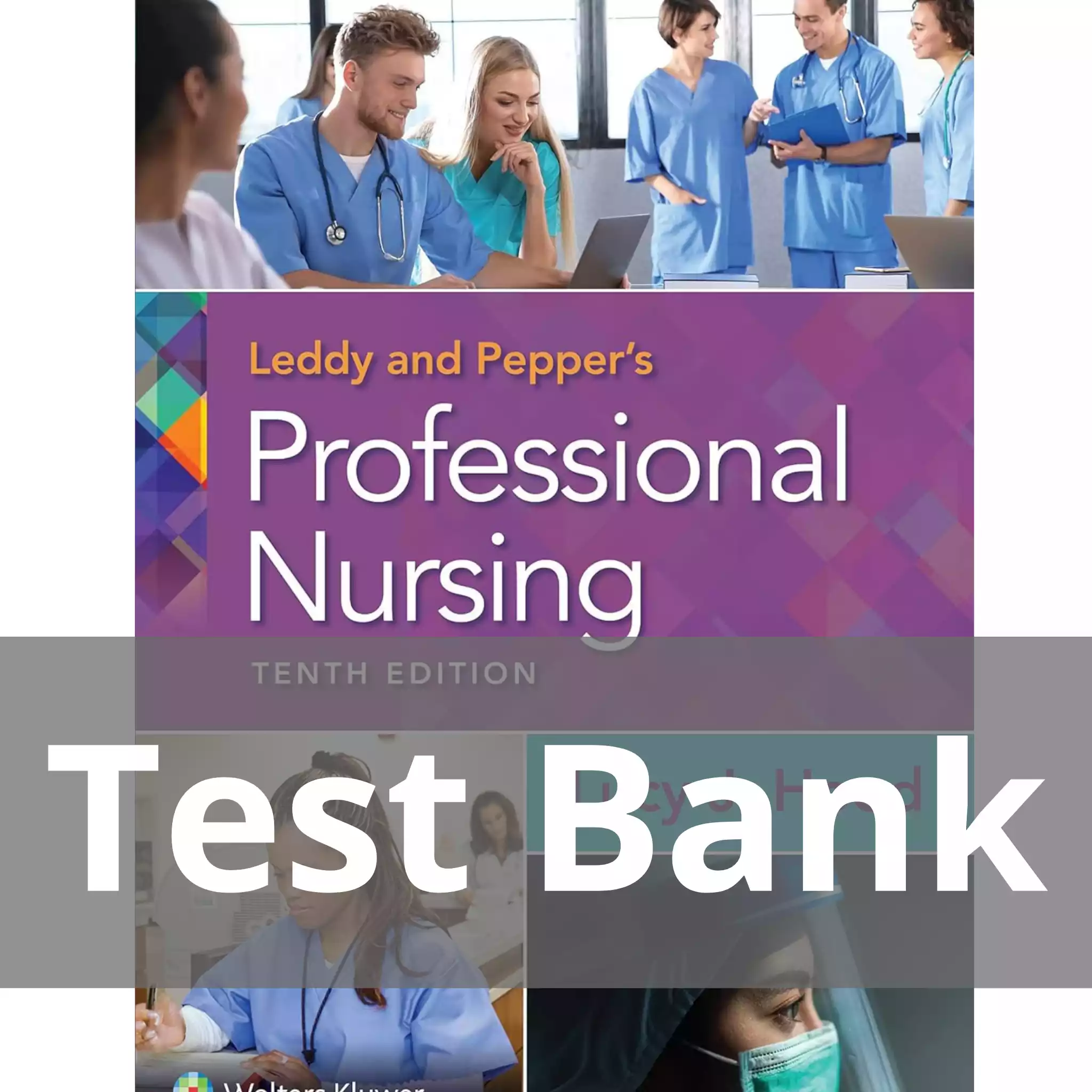 Leddy & Pepper’s Professional Nursing 10th Edition Lucy J. Hood Test Bank