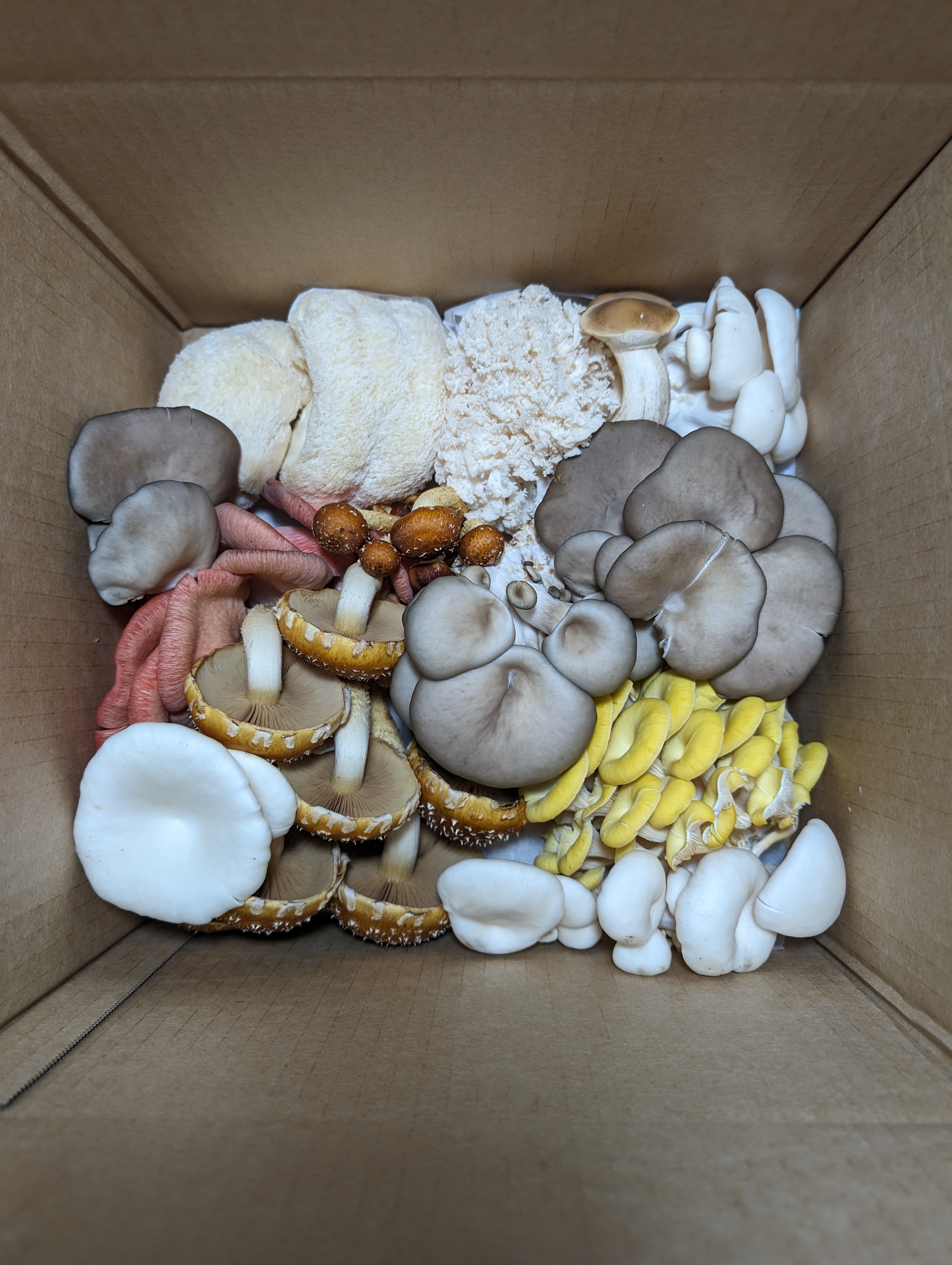 Mixed Mushrooms