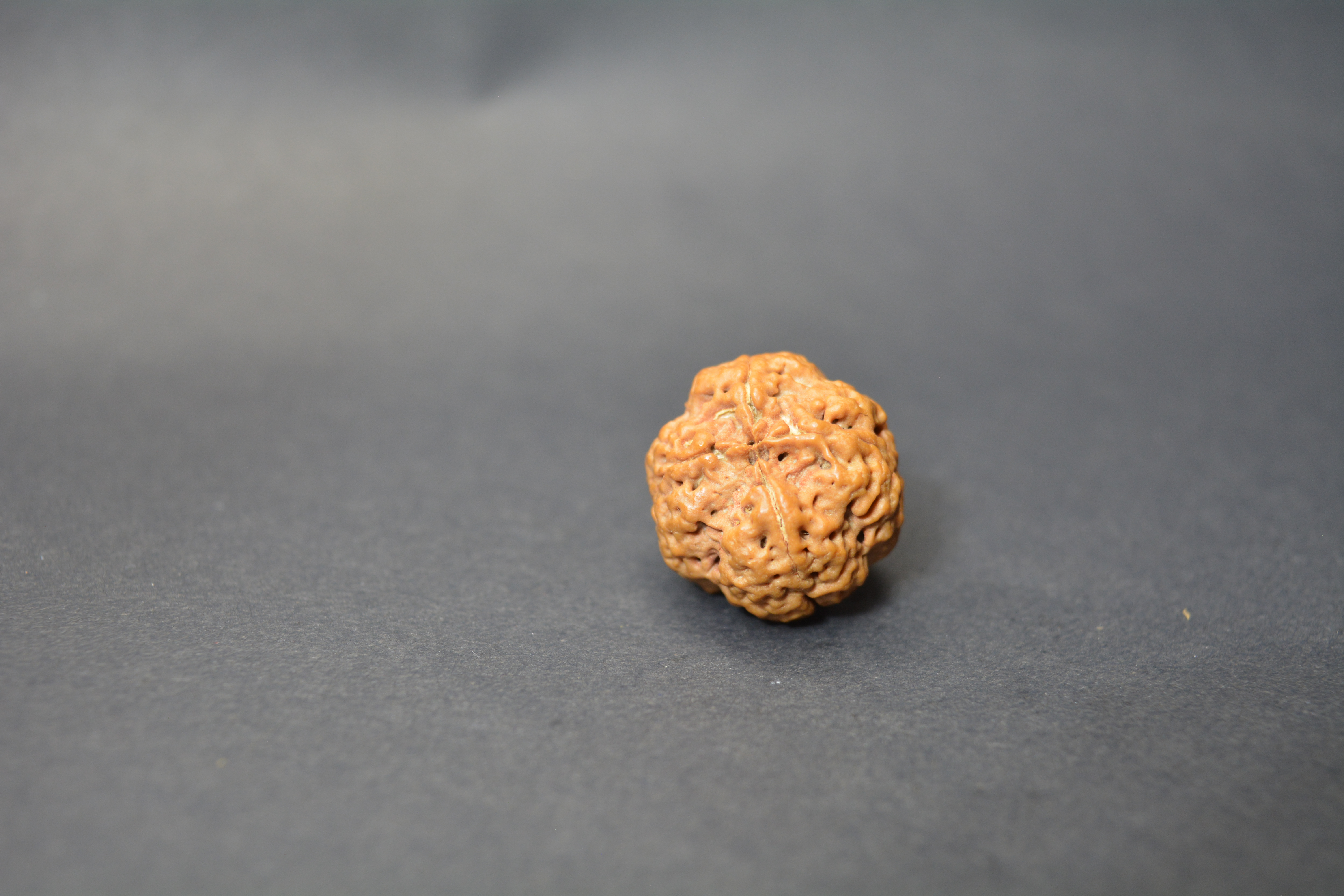 Original 4 Mukhi Nepali Rudraksha | Certified Panch Brahma Bead of Lord Brahma for Knowledge, Wisdom & Creativity