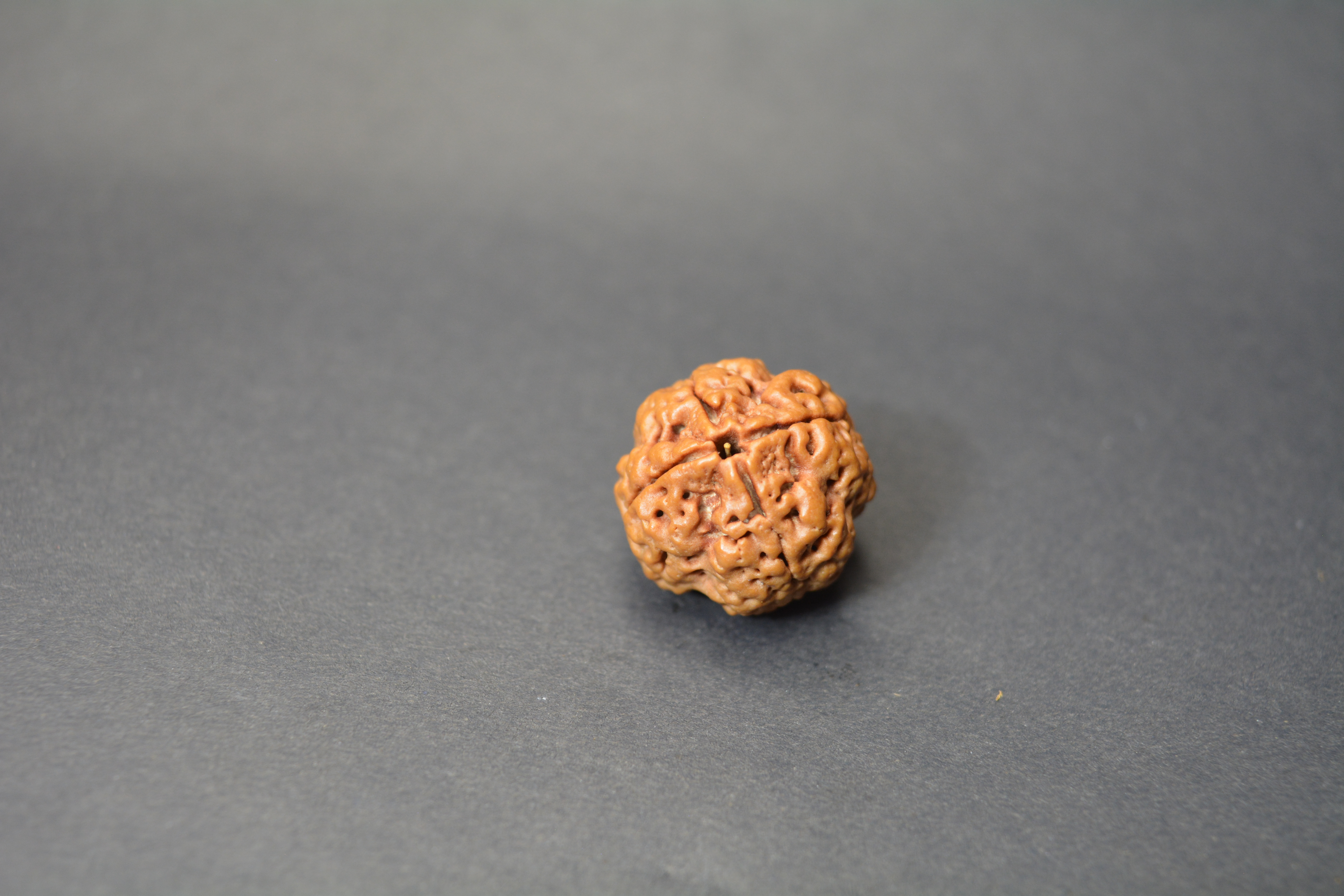 Original 4 Mukhi Nepali Rudraksha | Certified Panch Brahma Bead of Lord Brahma for Knowledge, Wisdom & Creativity