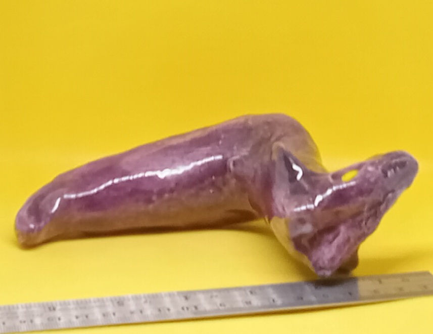 Purple Serpent