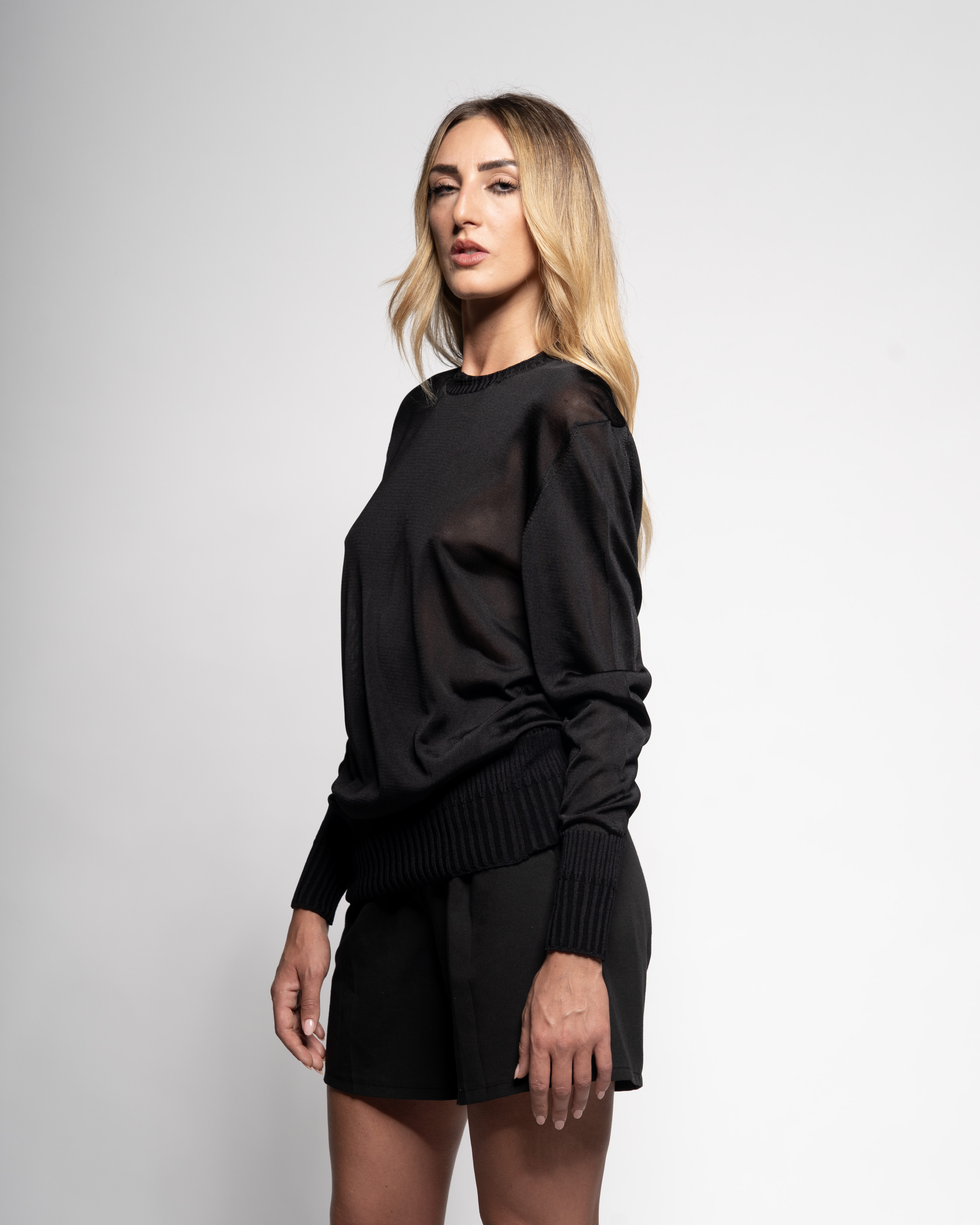 crewneck fine knit long sleeves sweater