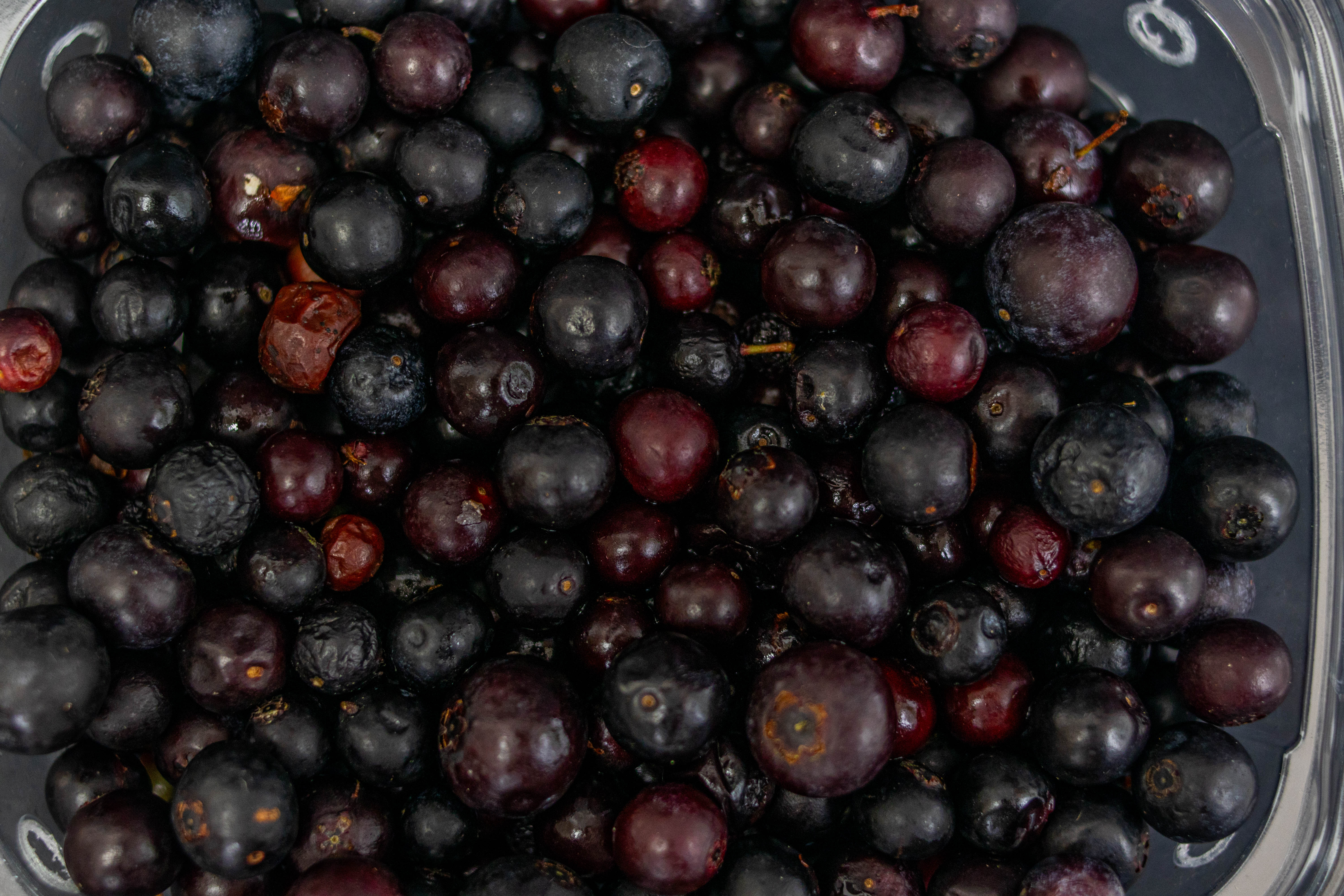 Agraz Imperial x125g