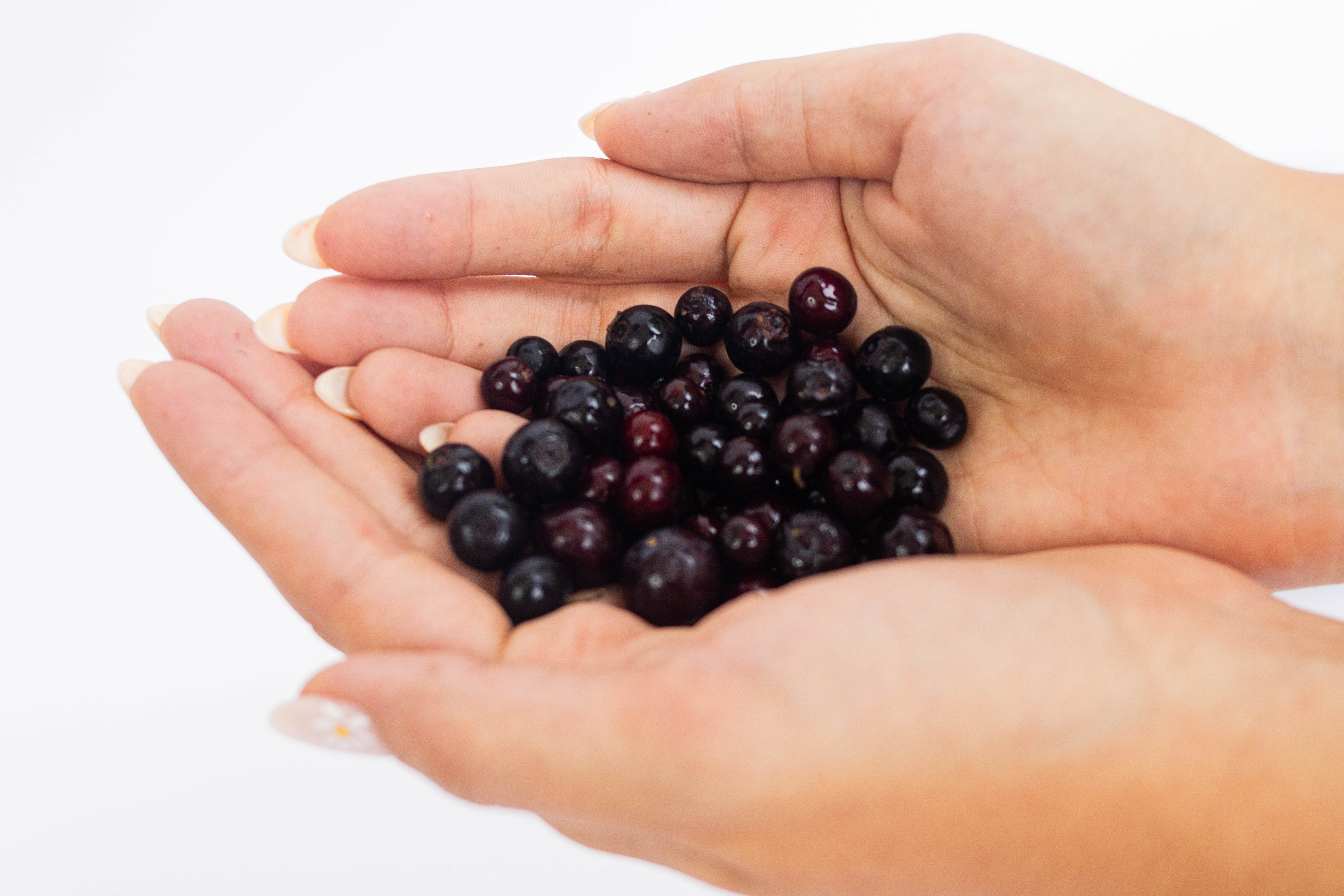 Agraz Imperial x125g