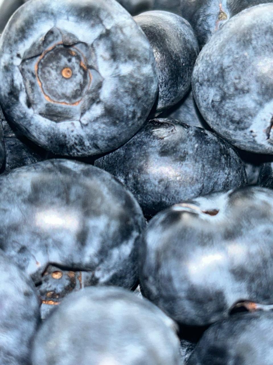 Arándanos jumbo x250g