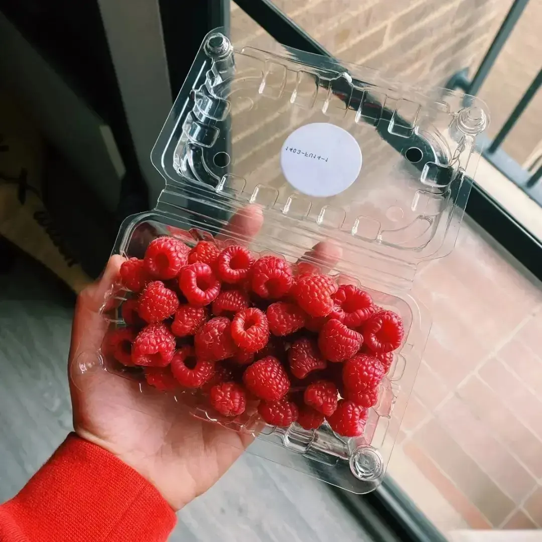 Frambuesa roja x125g