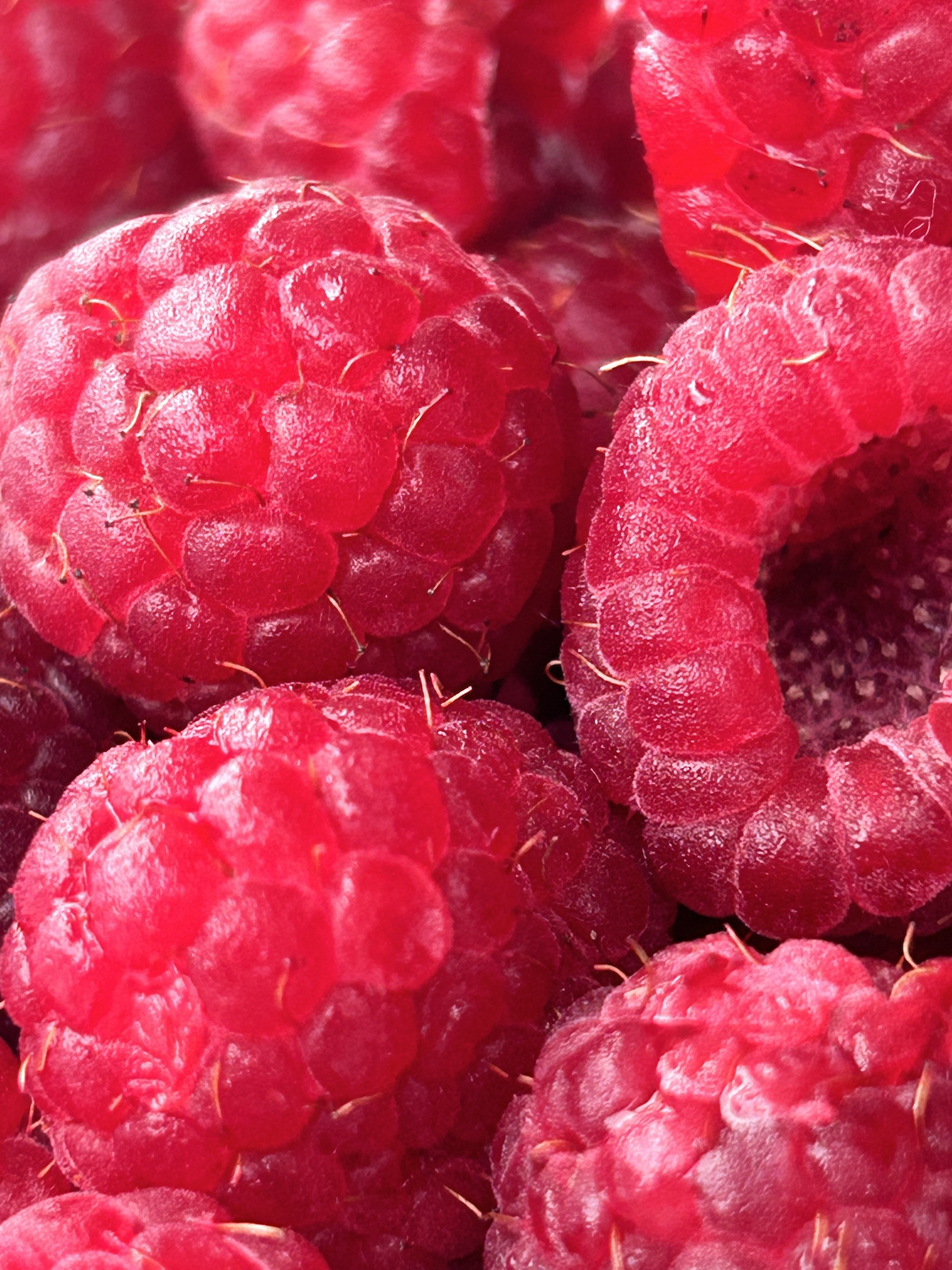 Frambuesa roja x125g