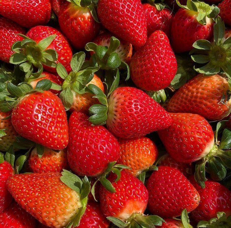 Fresas Frescas x500g