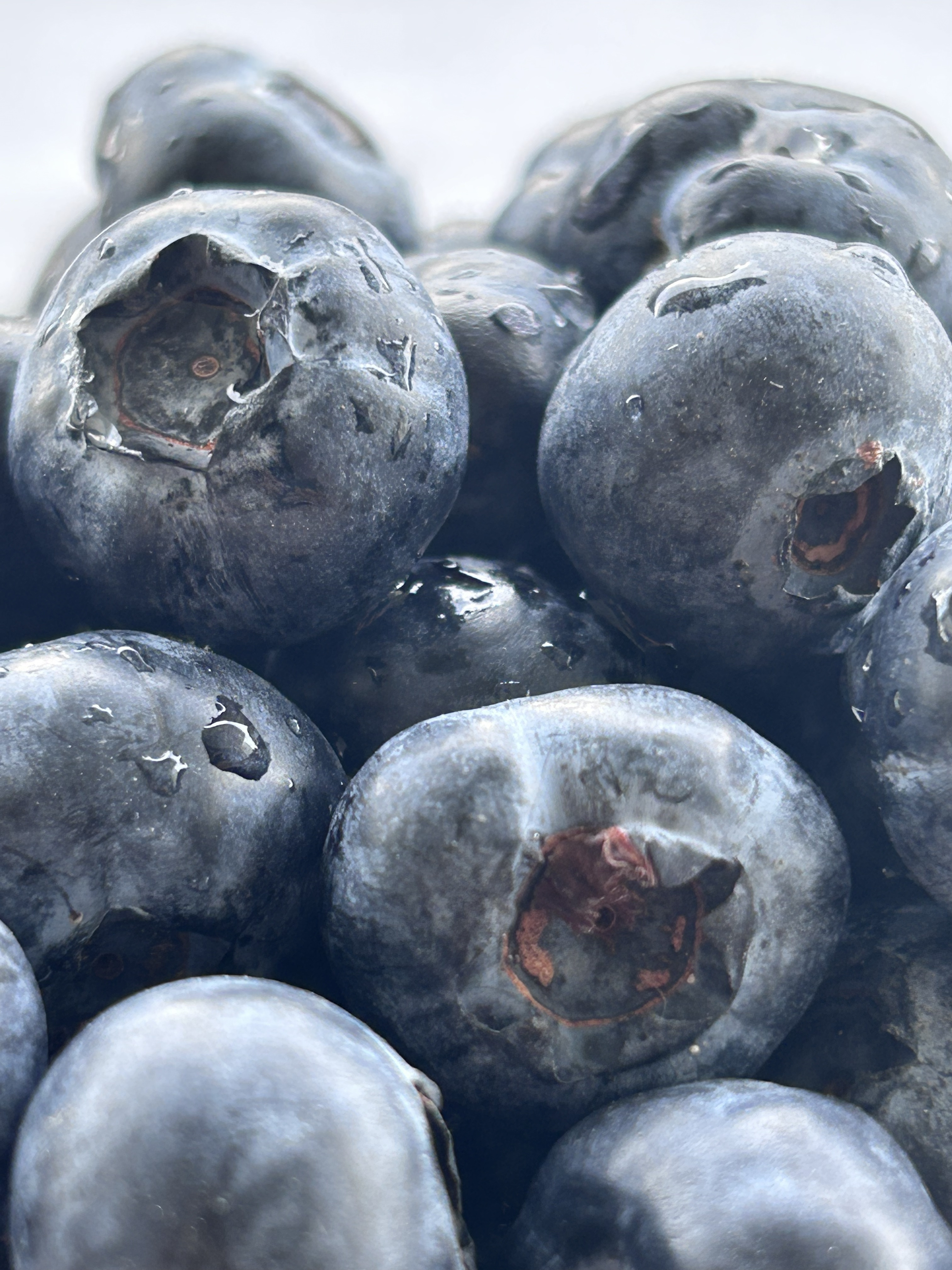 Arándanos jumbo x250g