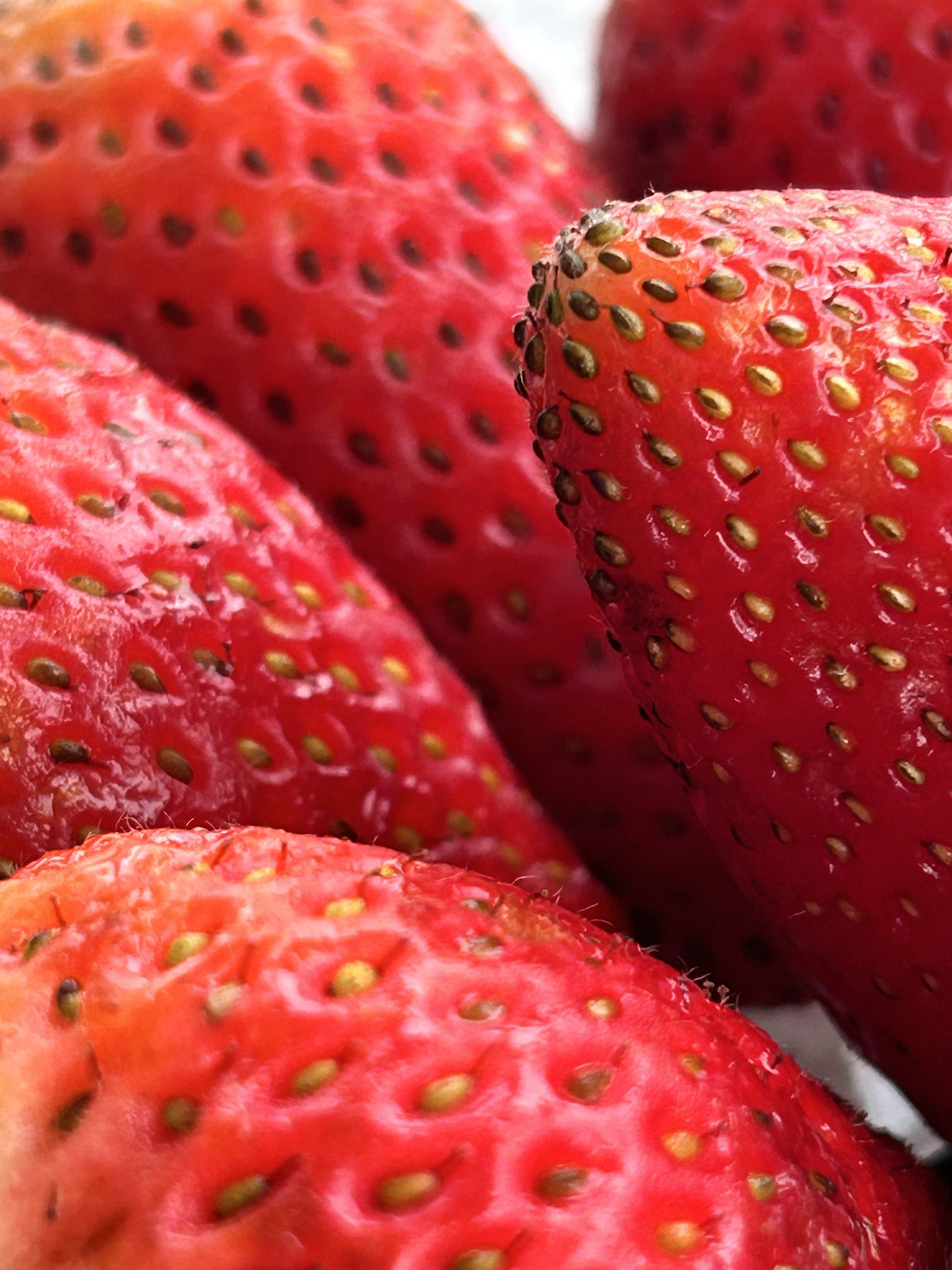 Fresas Frescas x500g