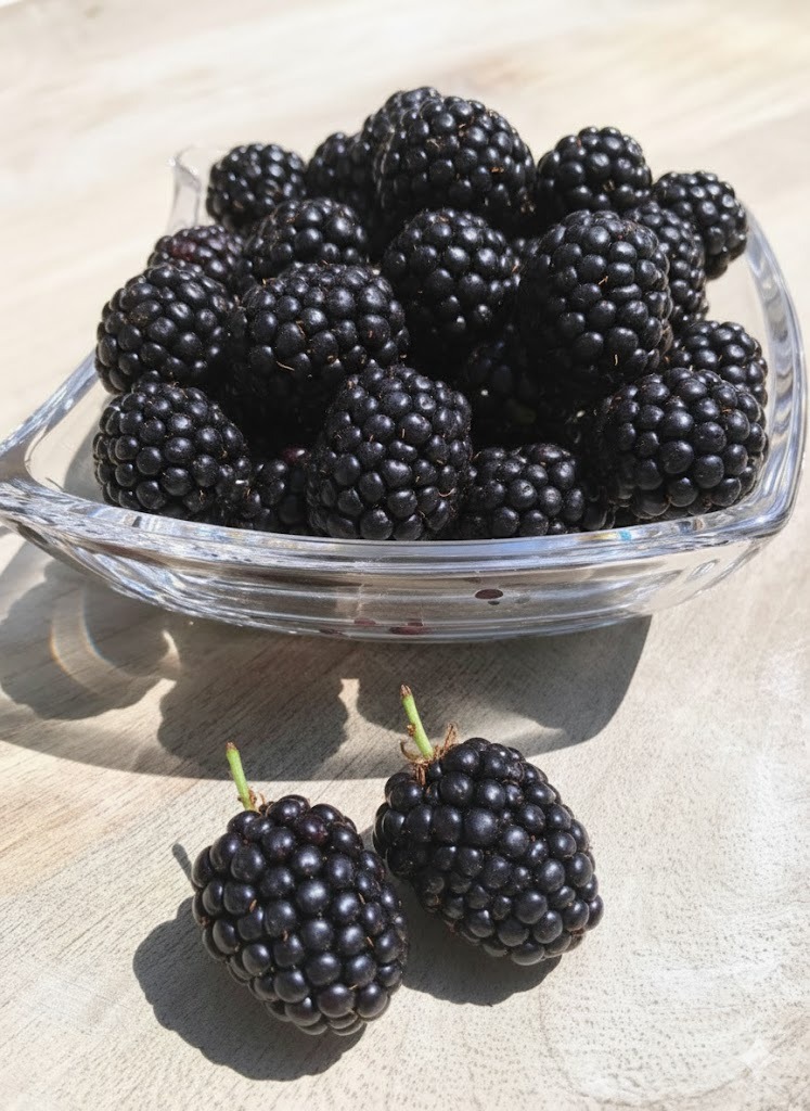 Moras BlackBerry x125g