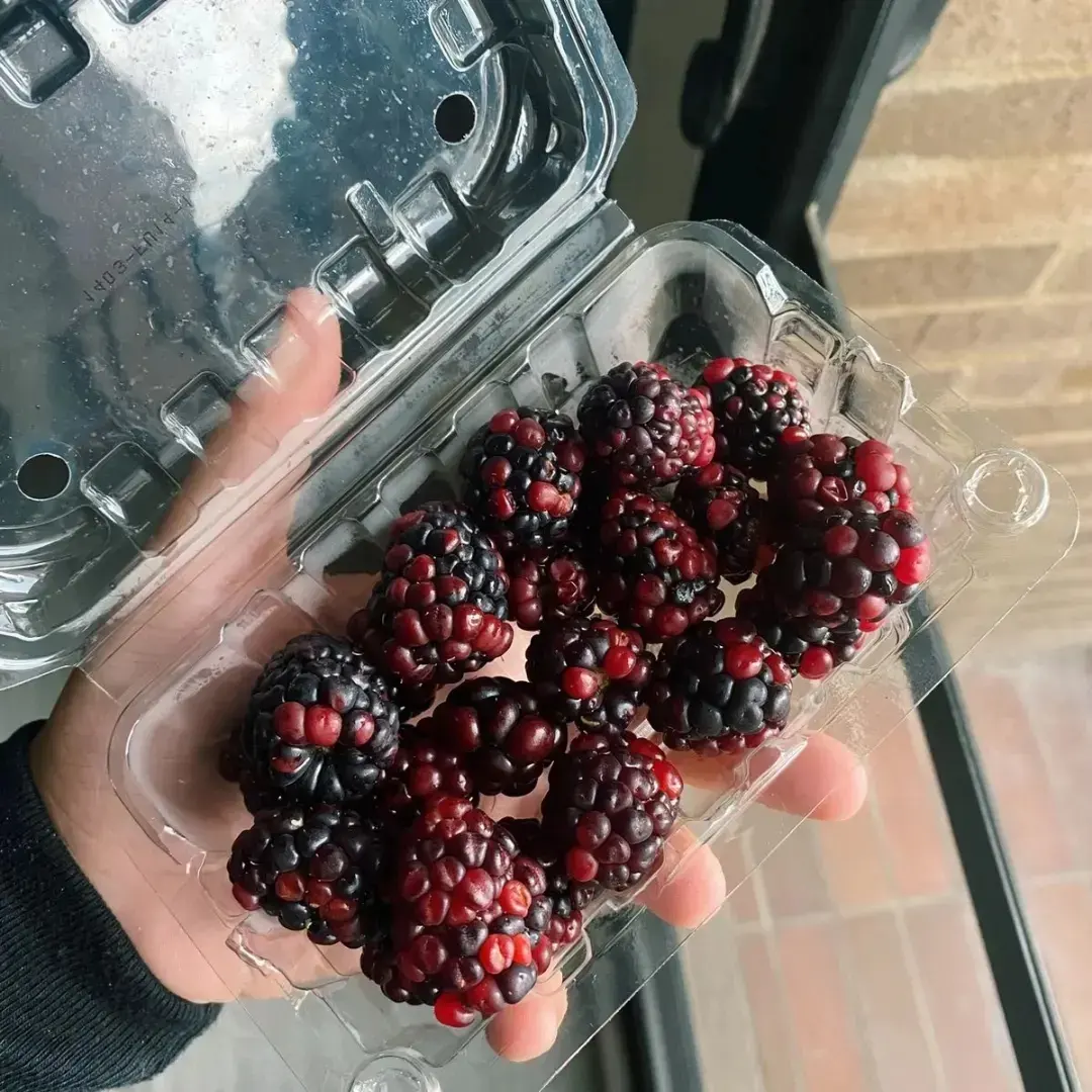 Moras BlackBerry x125g