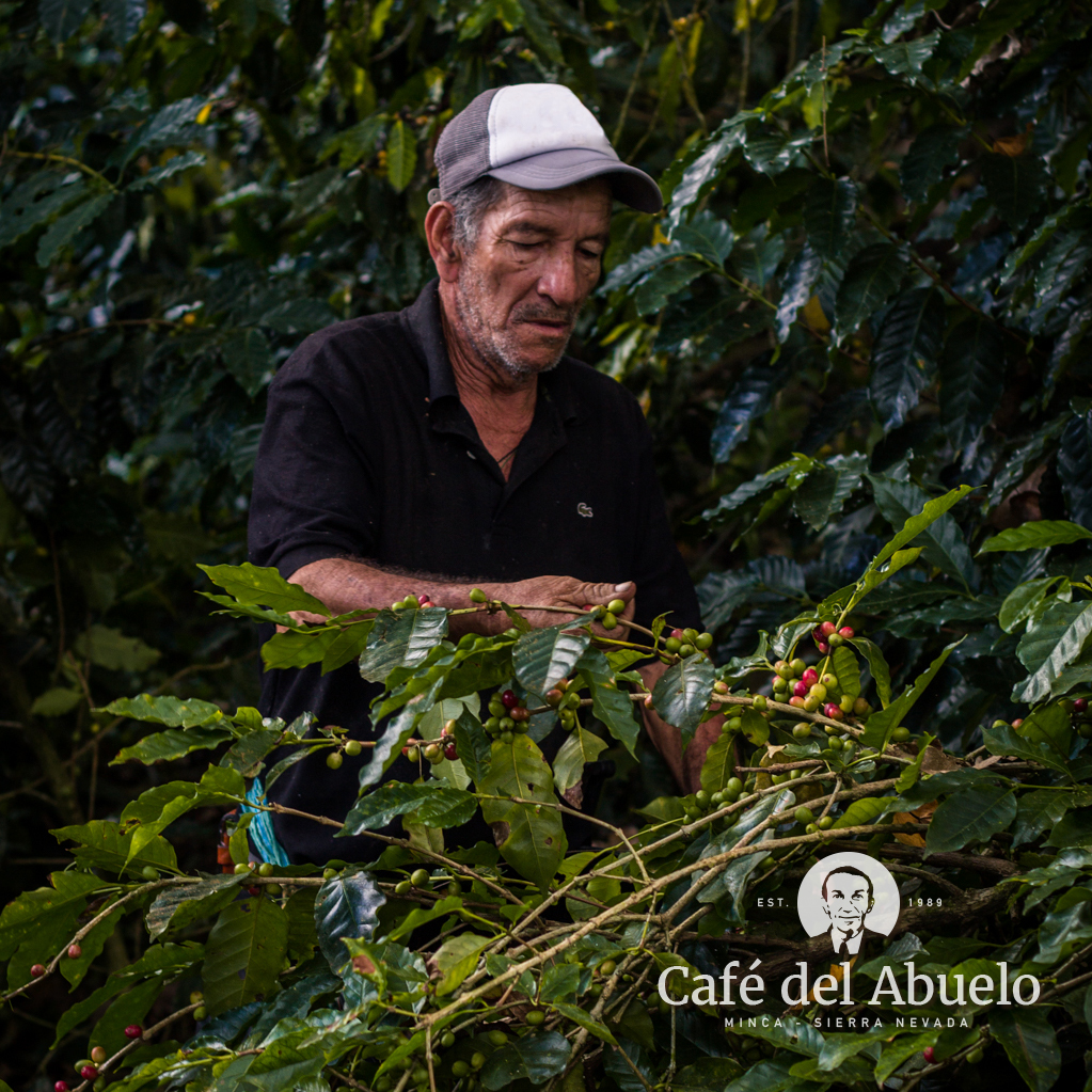 Café del Abuelo