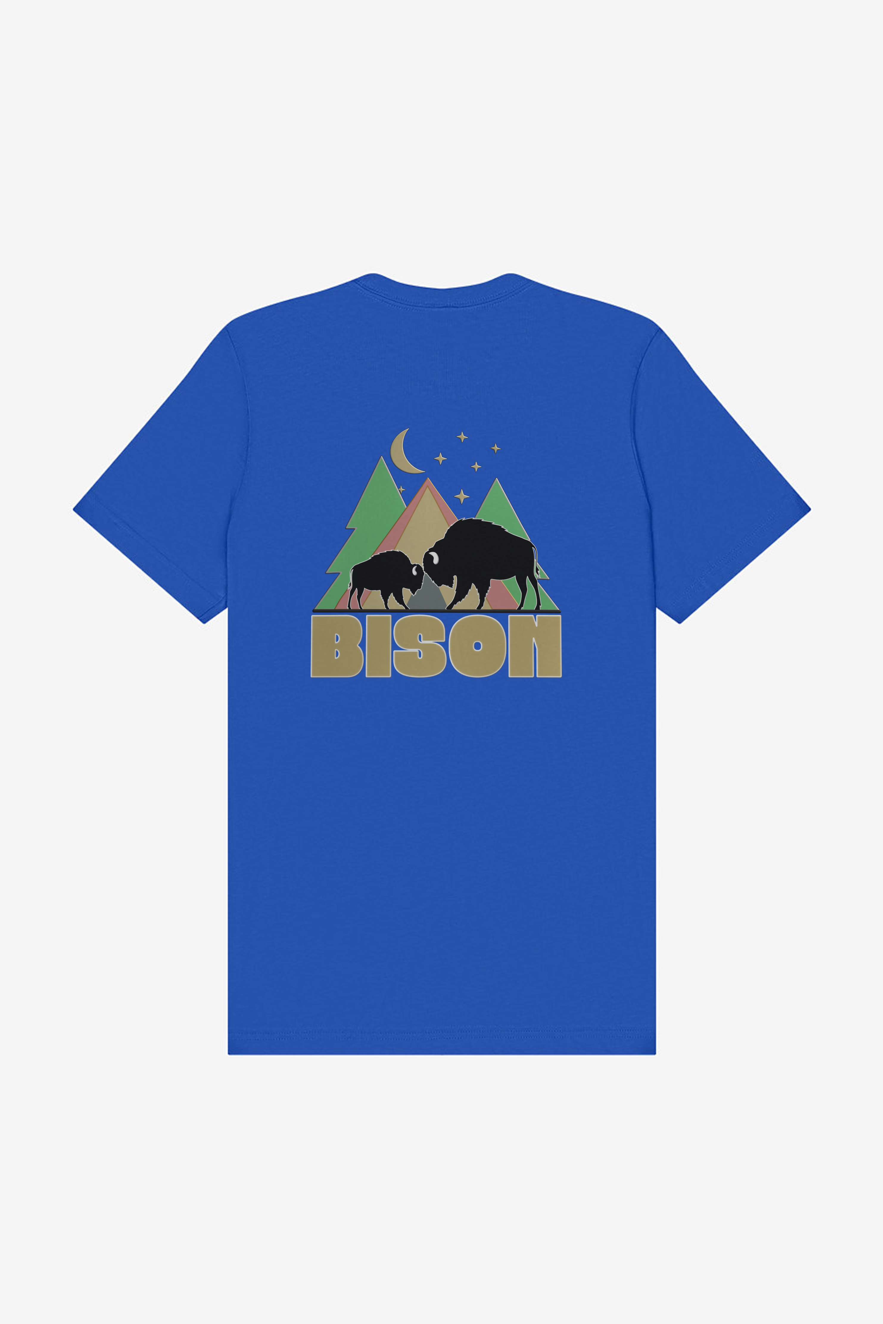Bison Dad T-shirt