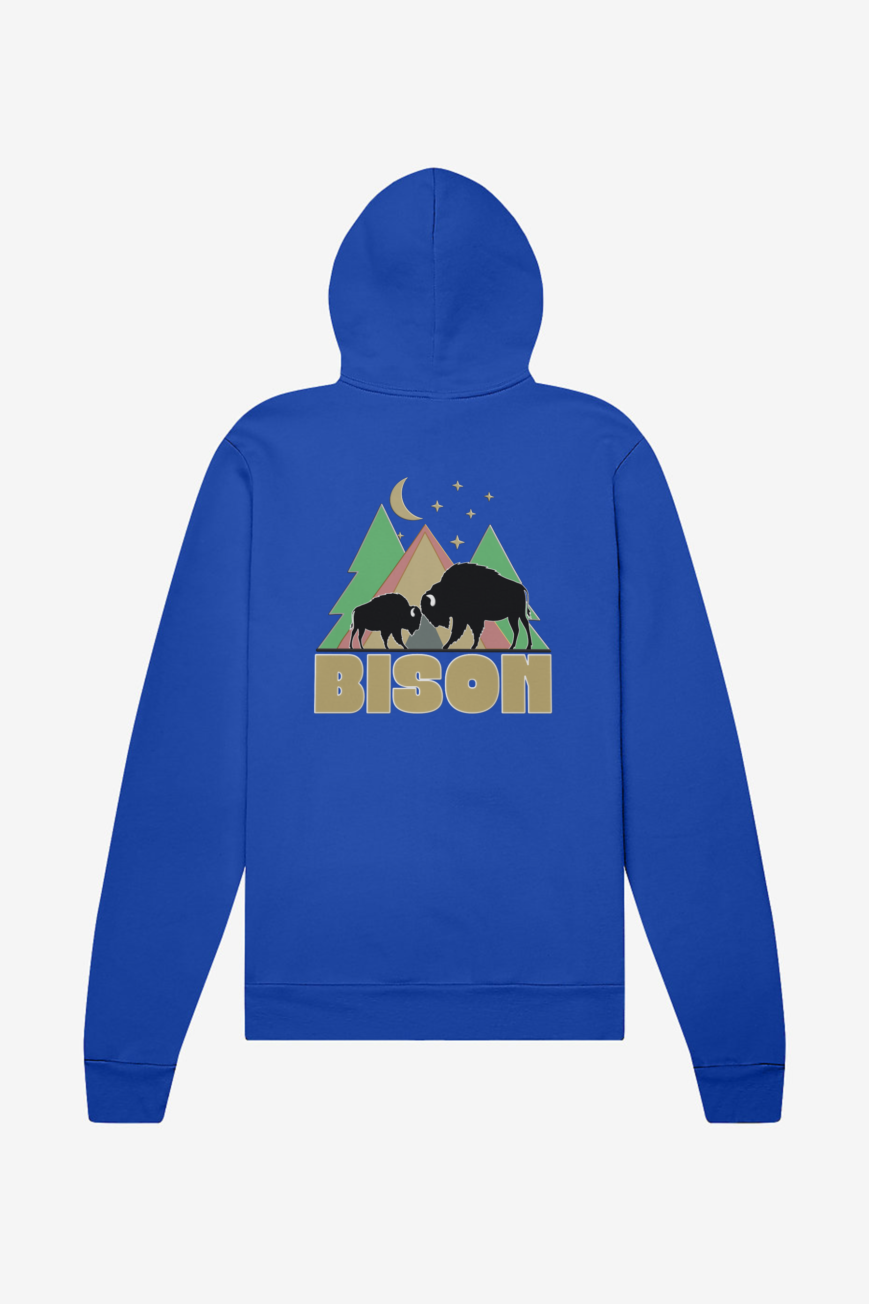Dad Bison Hoodie 2025