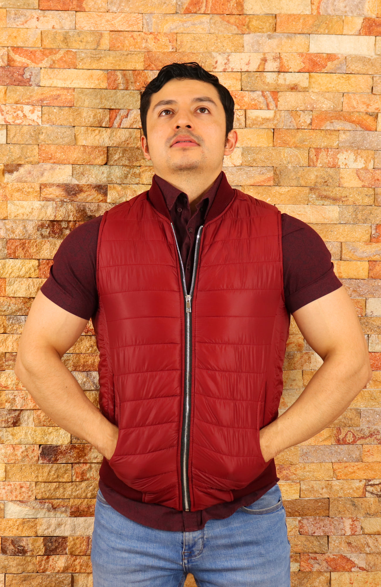 Chamarras Modernas Pitbull