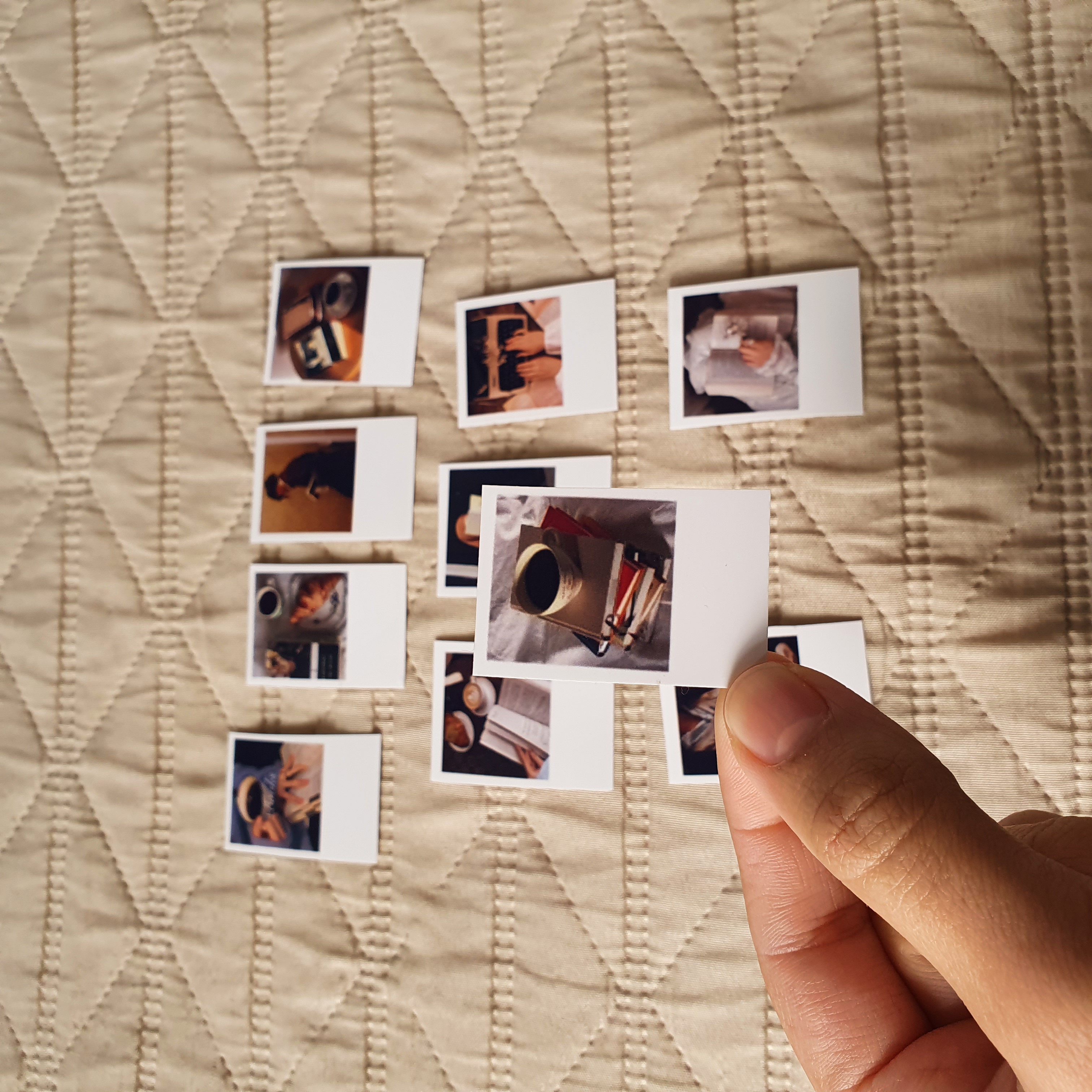 حجم صغير ، بولارويد عشاق الكتب 