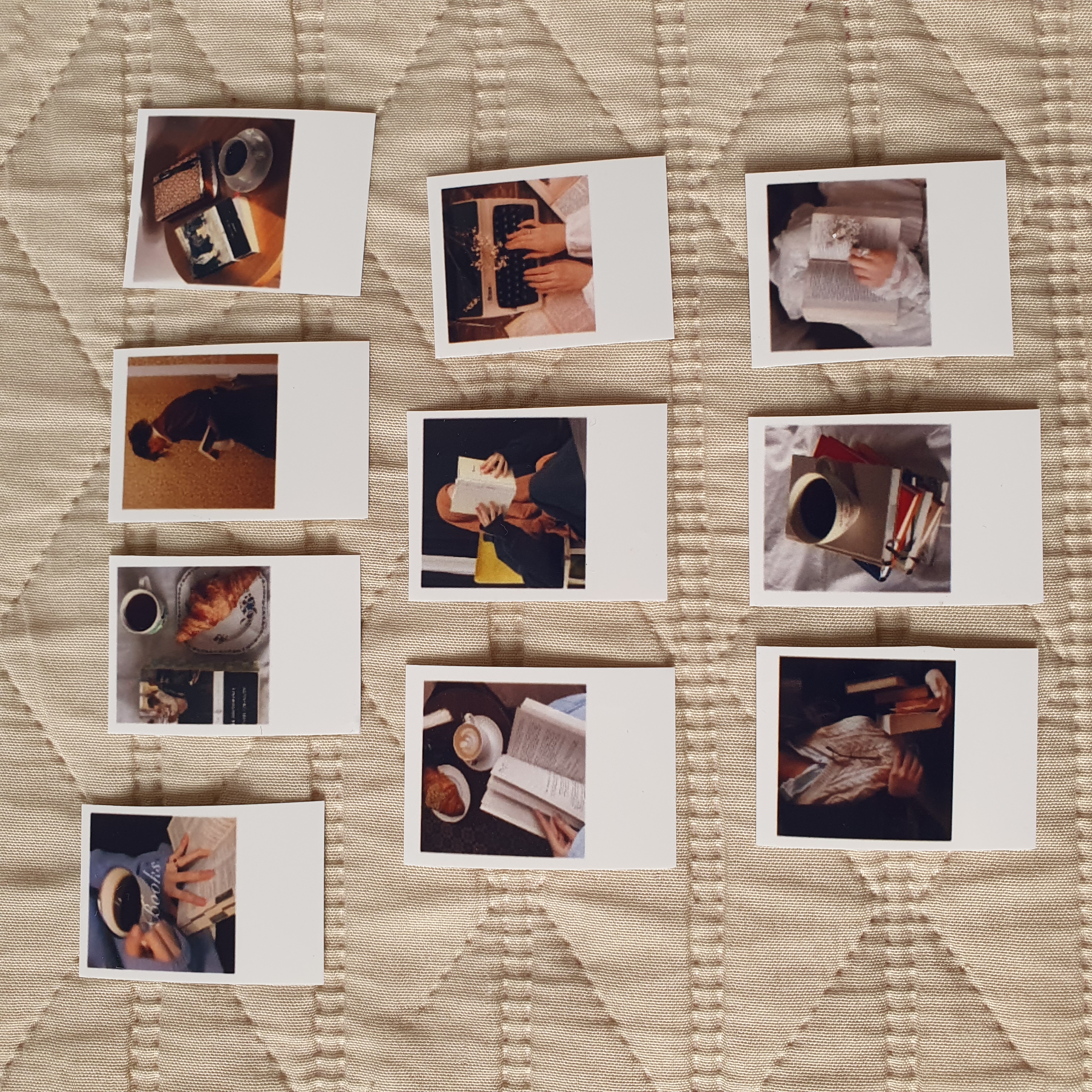 حجم صغير ، بولارويد عشاق الكتب 