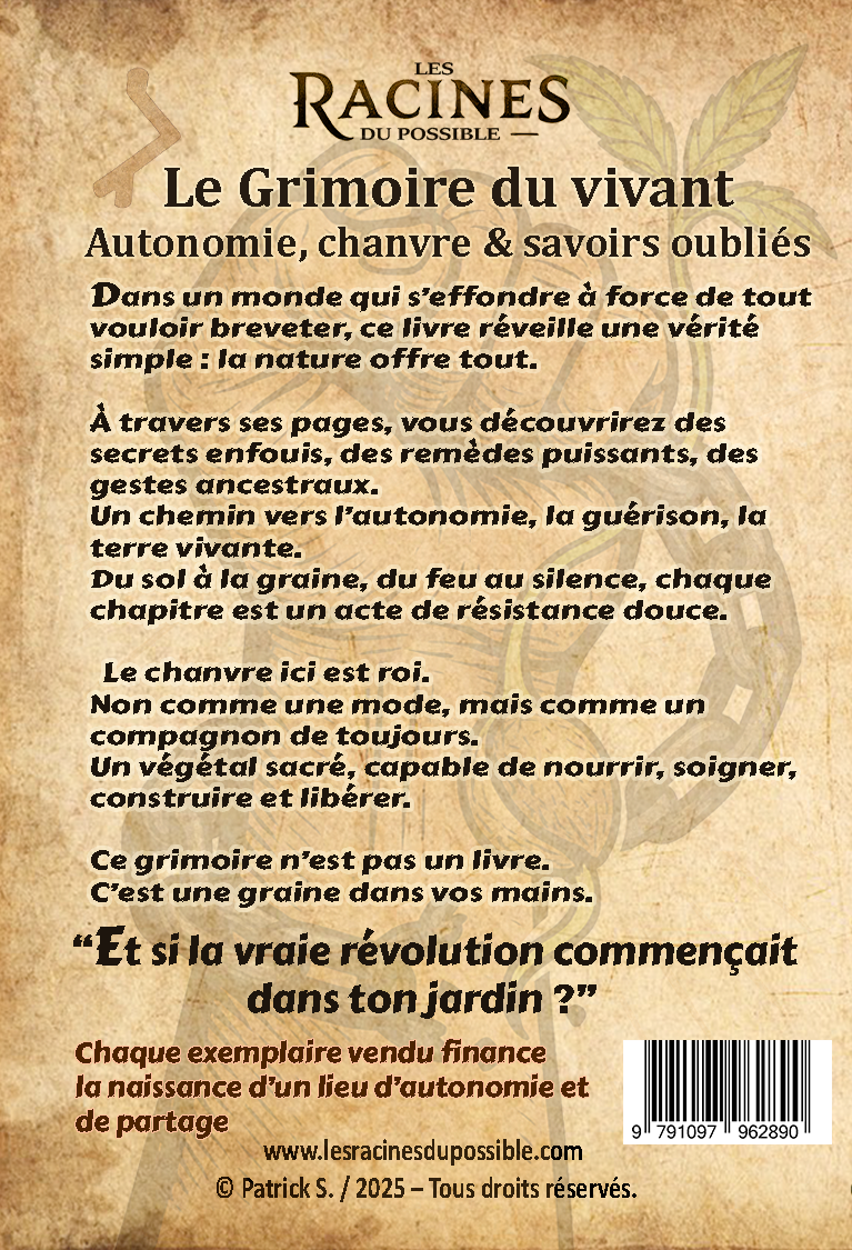 Version standard
