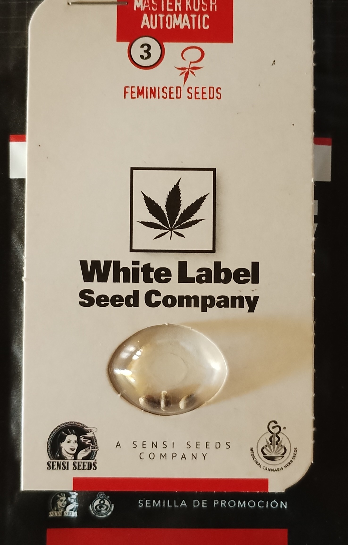 White Label Master Kush Auto 3uds