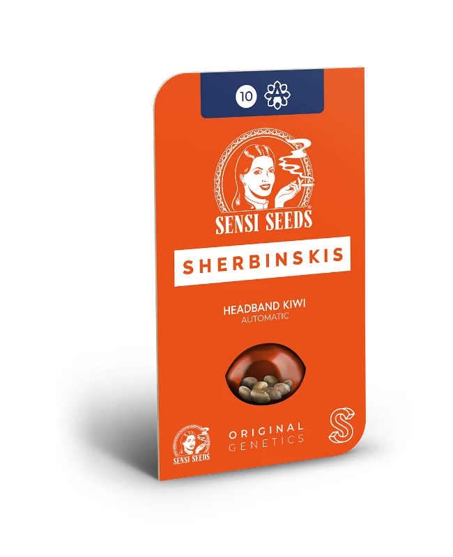 headband kiwi automatica sensi seeds