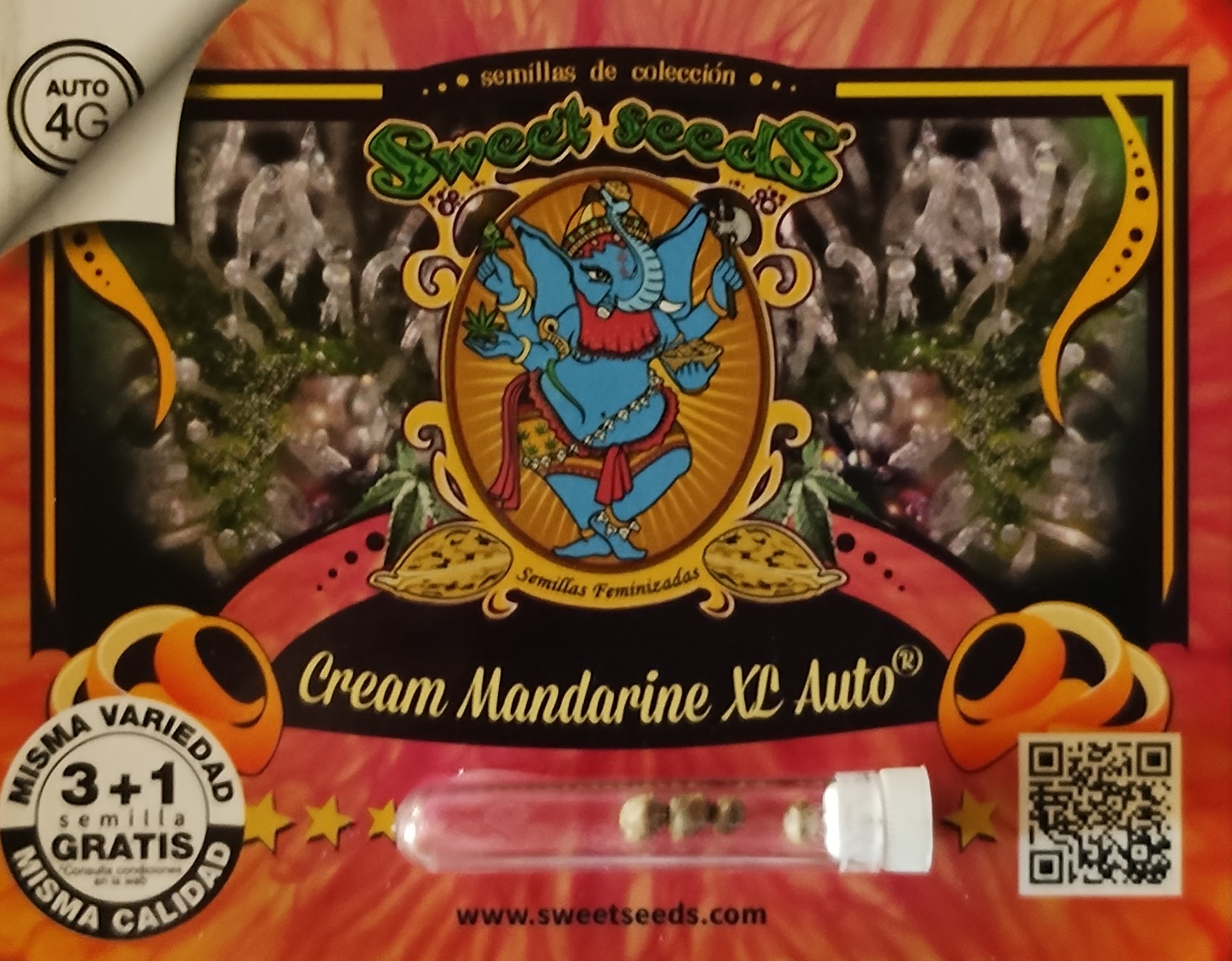 Sweets Seeds Cream Mandarine XL Auto 3+1uds